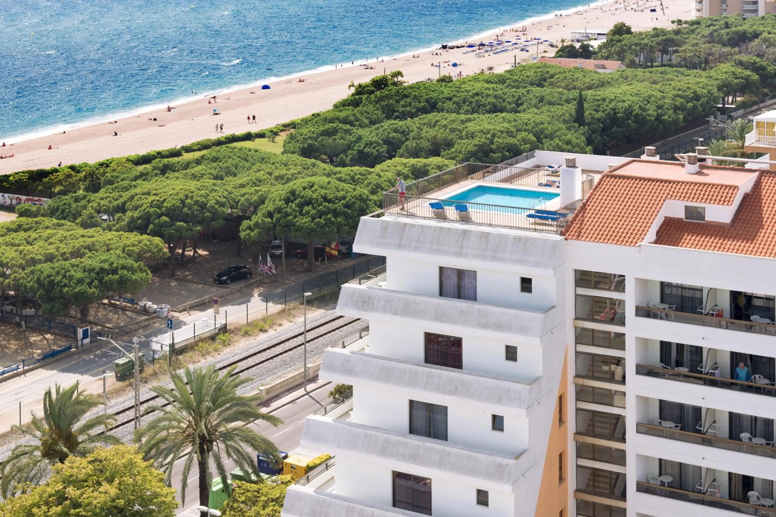 Bird's eye view in Tropic Park