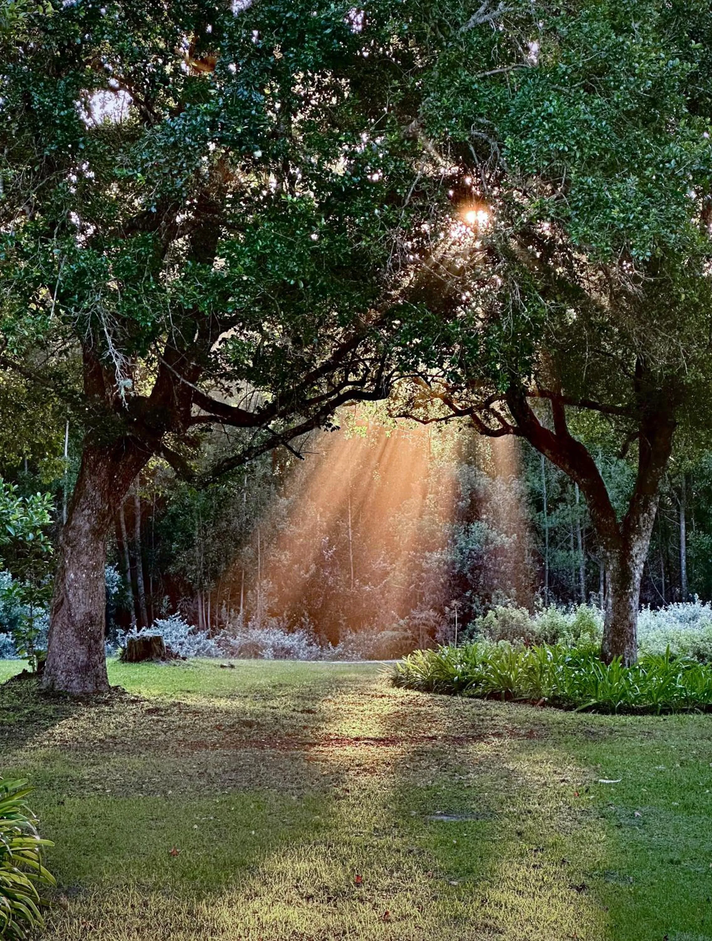 Sunset in Edenbrook Country Manor
