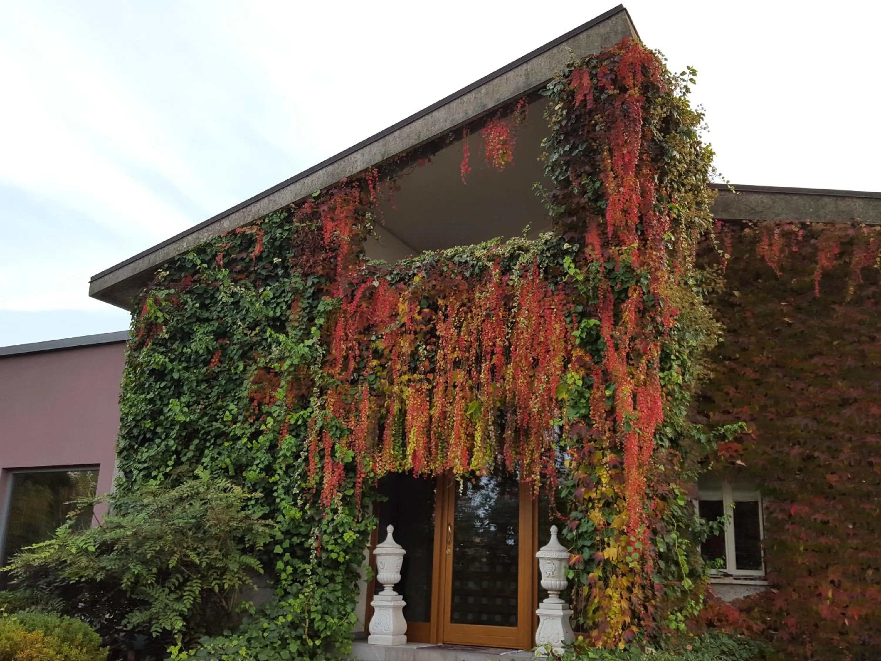 Facade/entrance in Villa Bedin