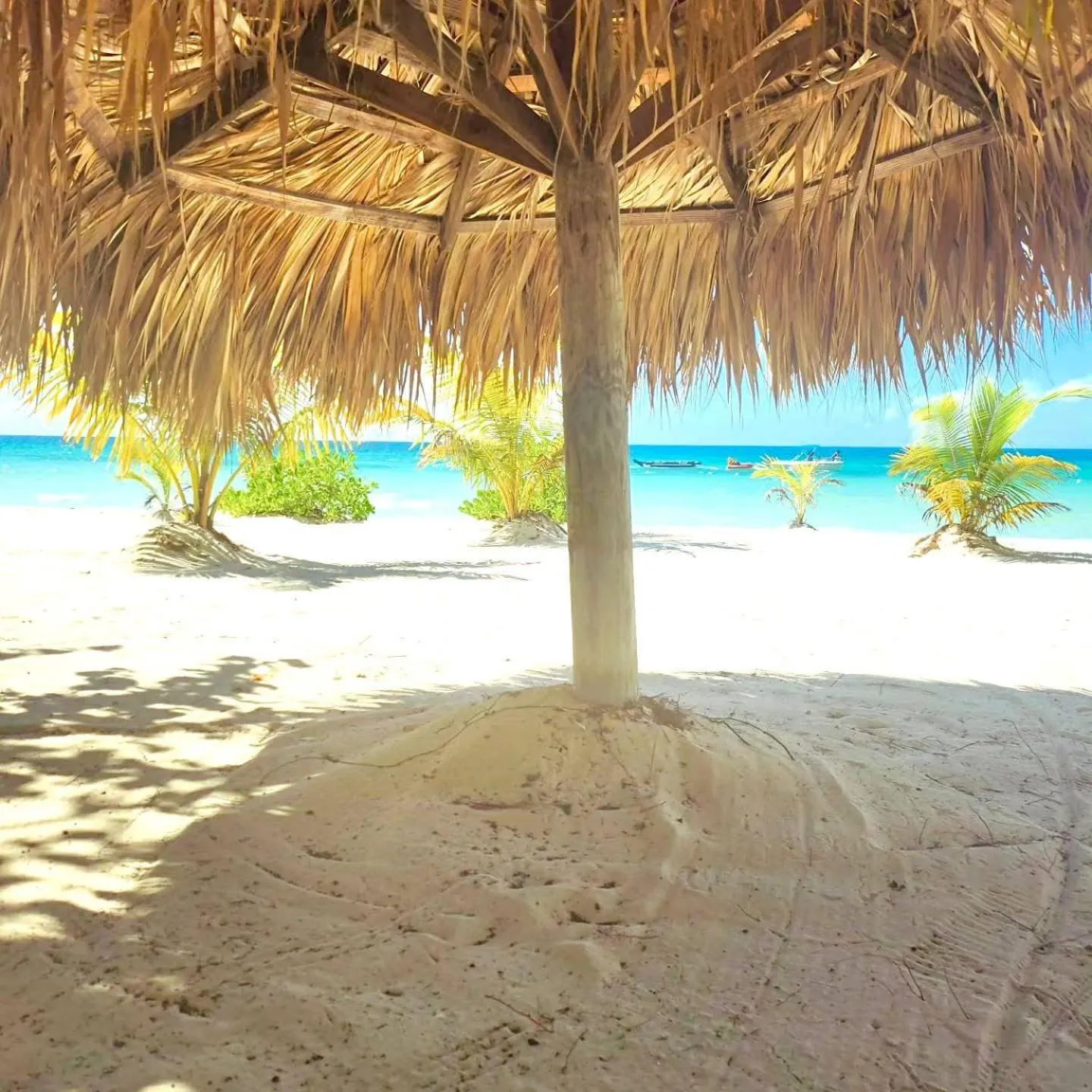 Beachcomber Club Resort