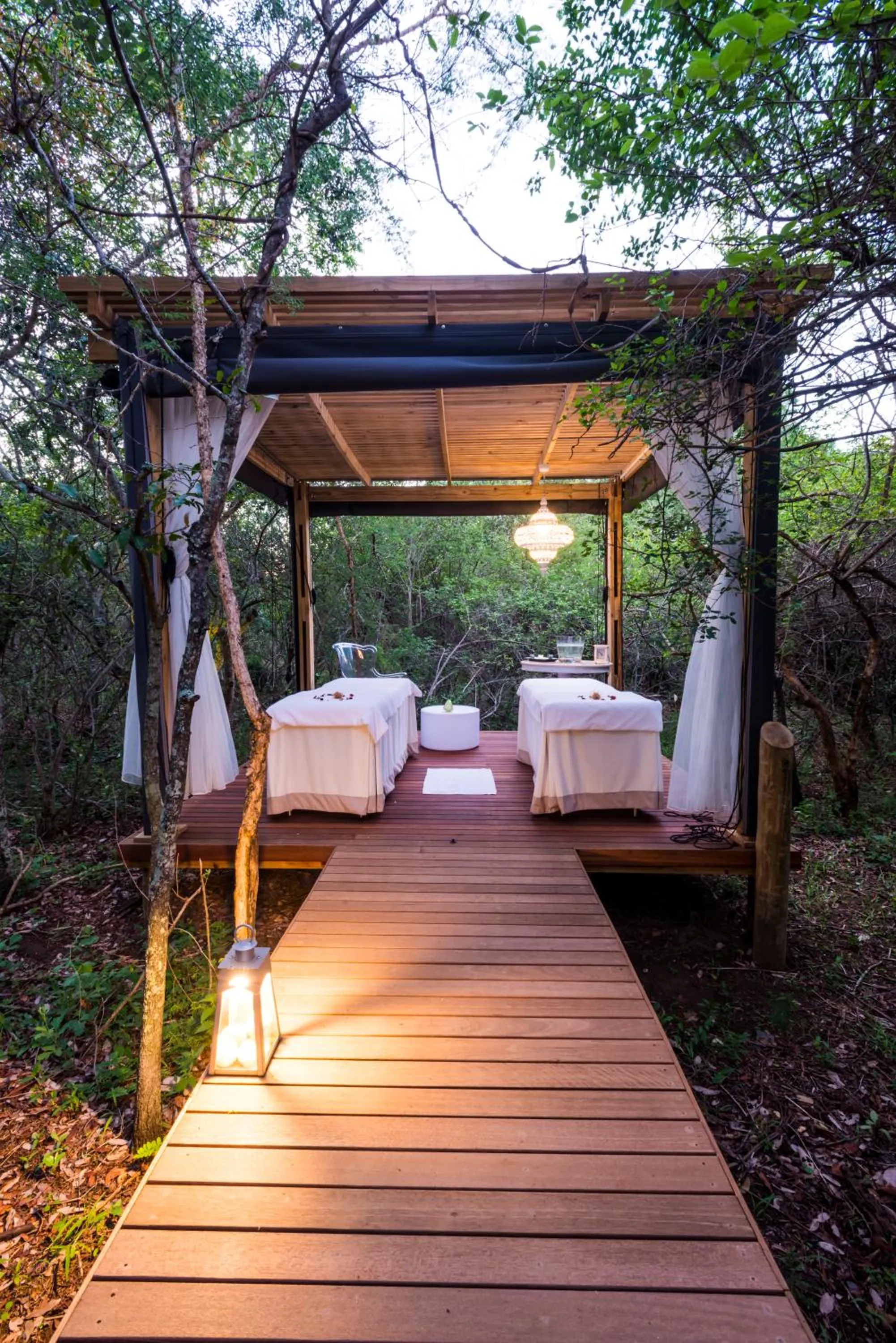 Natural landscape in AM Lodge - Hoedspruit