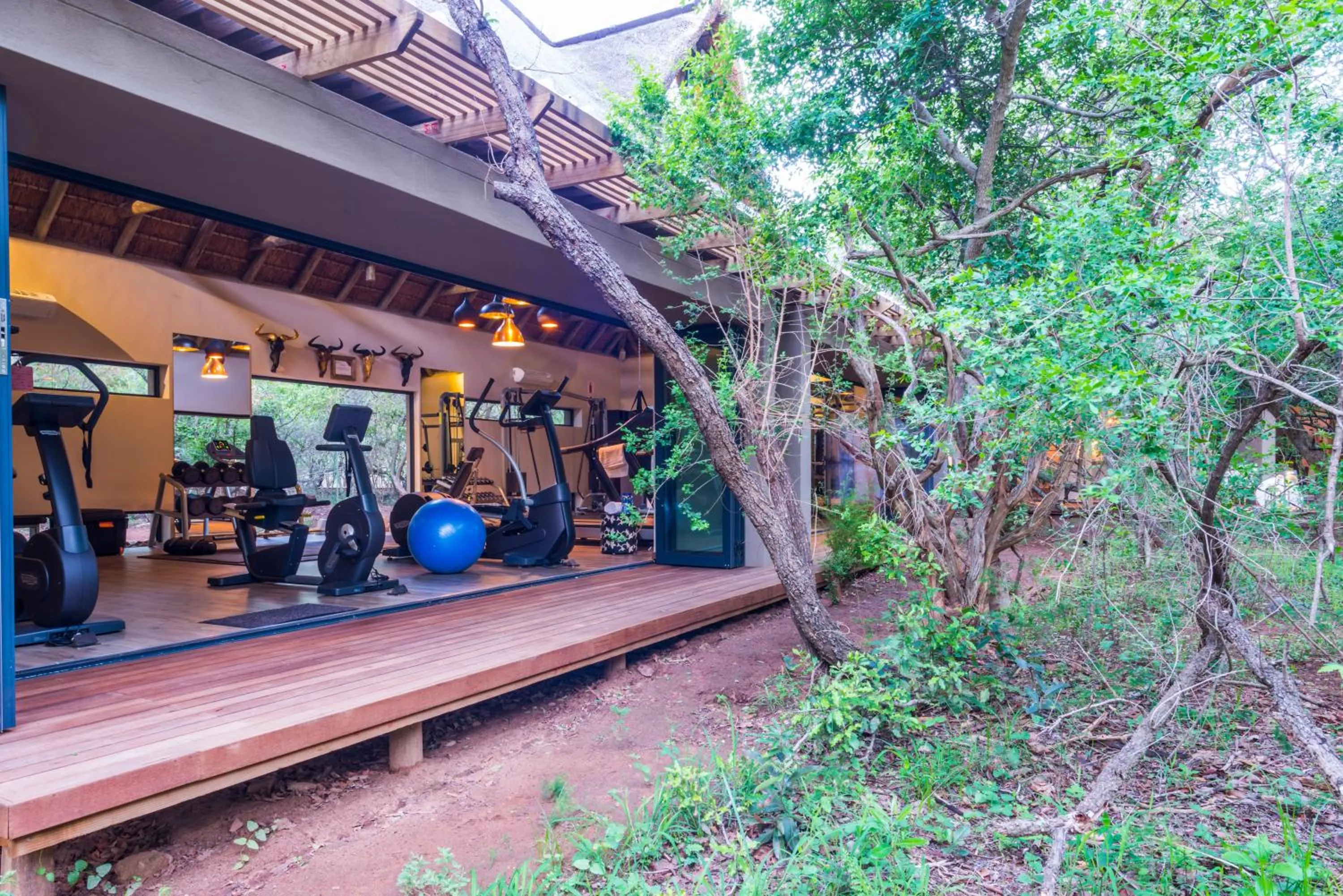 Fitness centre/facilities in AM Lodge - Hoedspruit