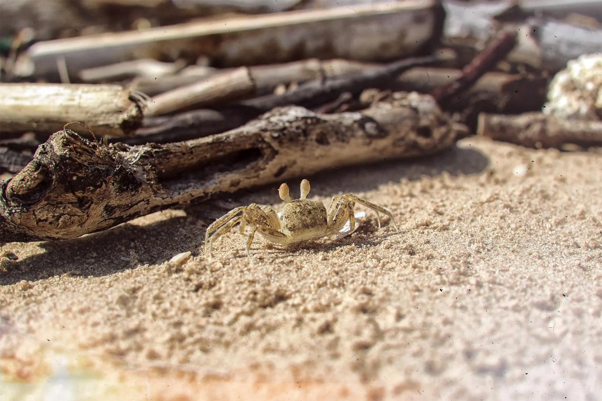 Day in Baan i Talay Chumphon บ้านไอทะเลชุมพร