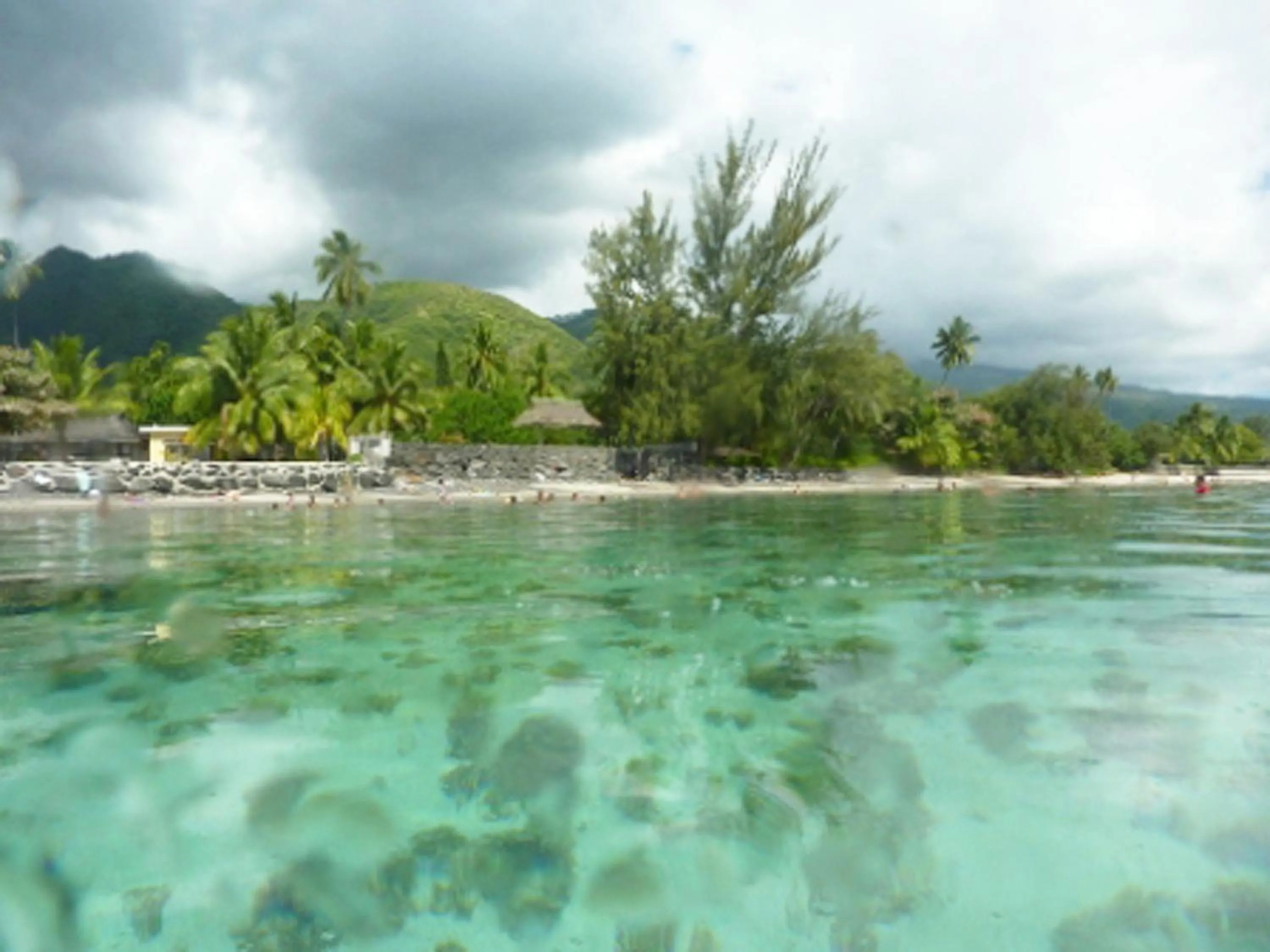 Snorkeling in Pension TE MITI - PLAGE-BEACH 200m - Mahana Parc & Vaiava Beach pk18 - B&B CHAMBRES ou DORTOIR