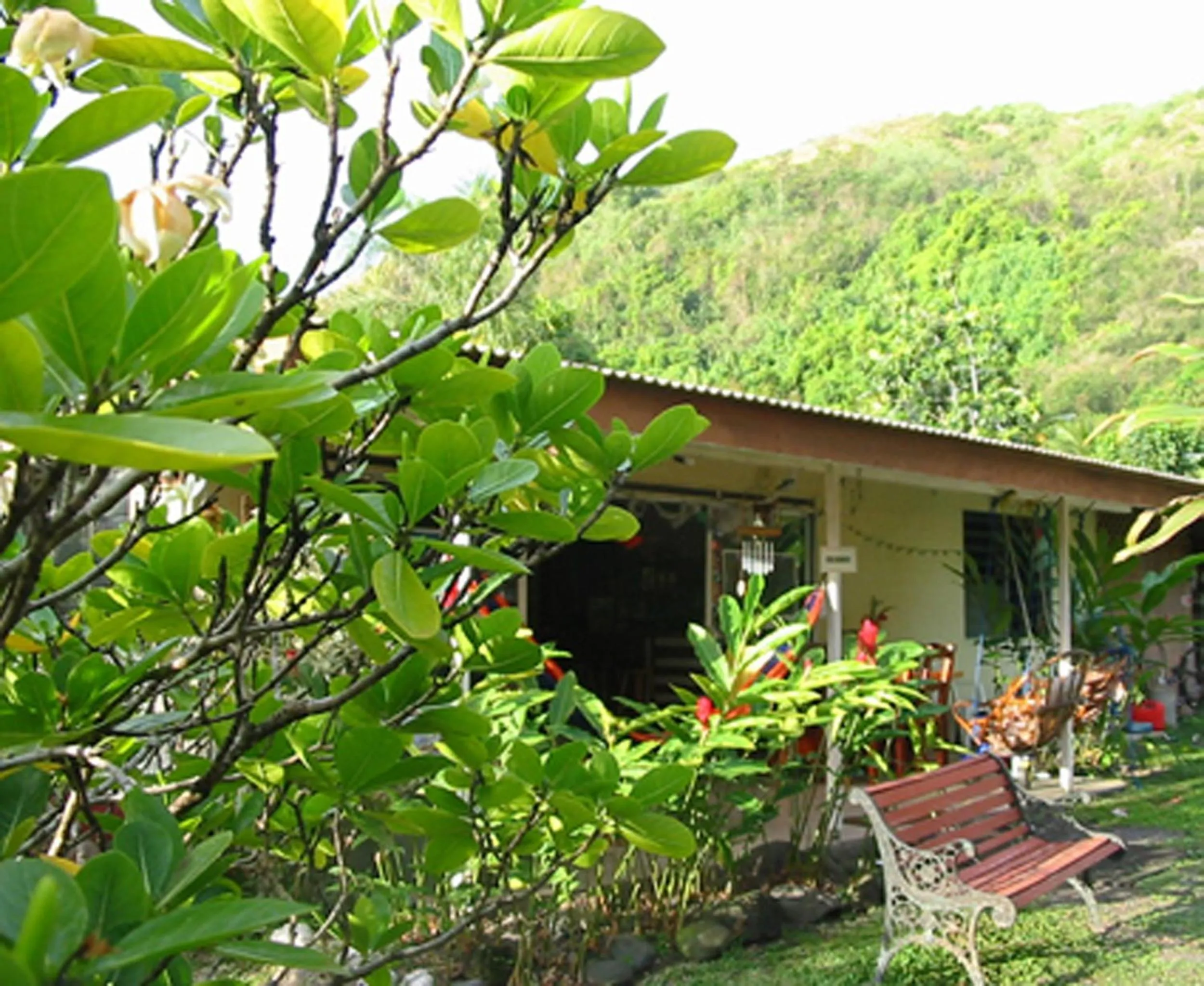 Natural landscape in Pension TE MITI - PLAGE-BEACH 200m - Mahana Parc & Vaiava Beach pk18 - B&B CHAMBRES ou DORTOIR