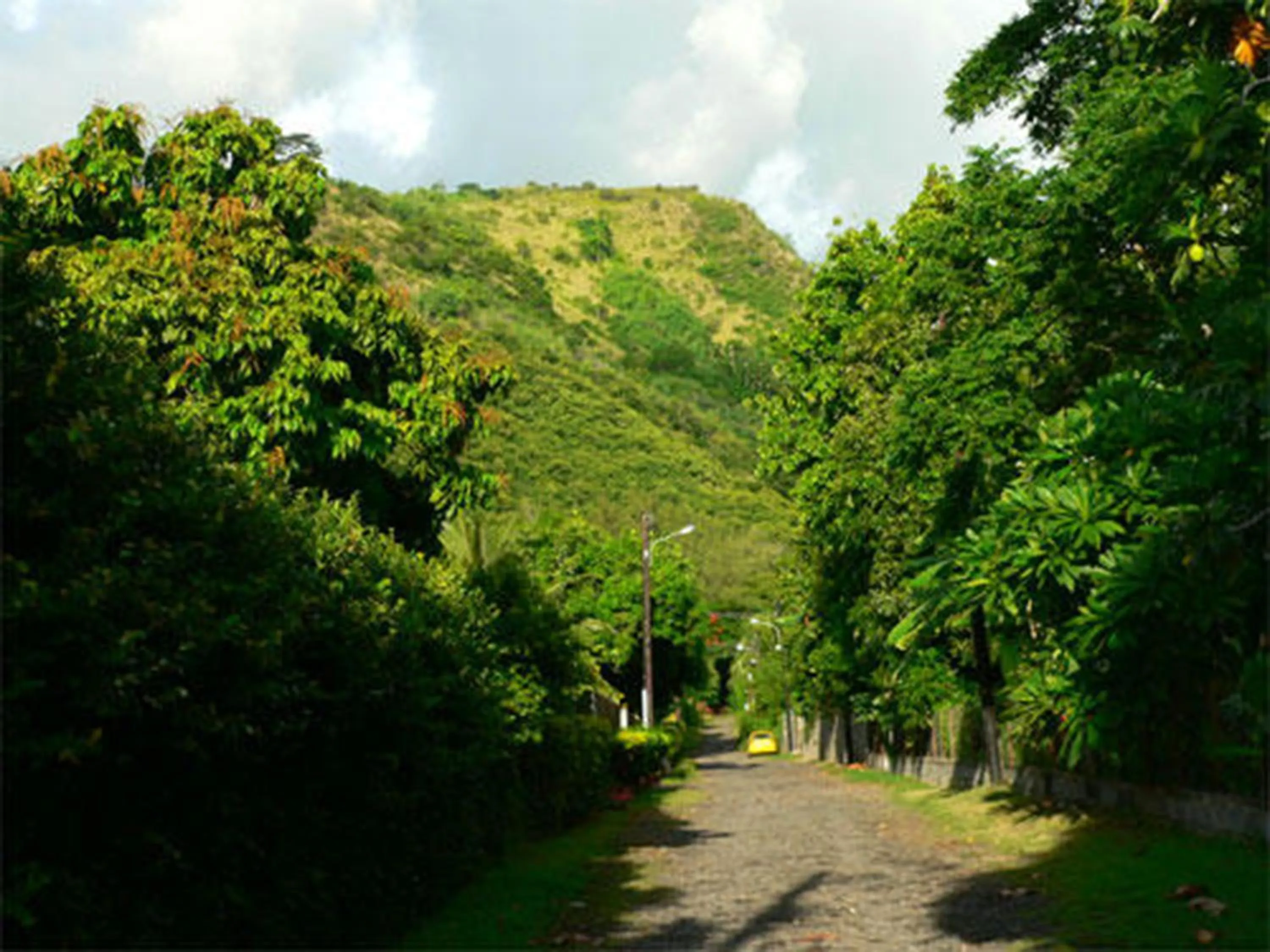Natural landscape in Pension TE MITI - PLAGE-BEACH 200m - Mahana Parc & Vaiava Beach pk18 - B&B CHAMBRES ou DORTOIR