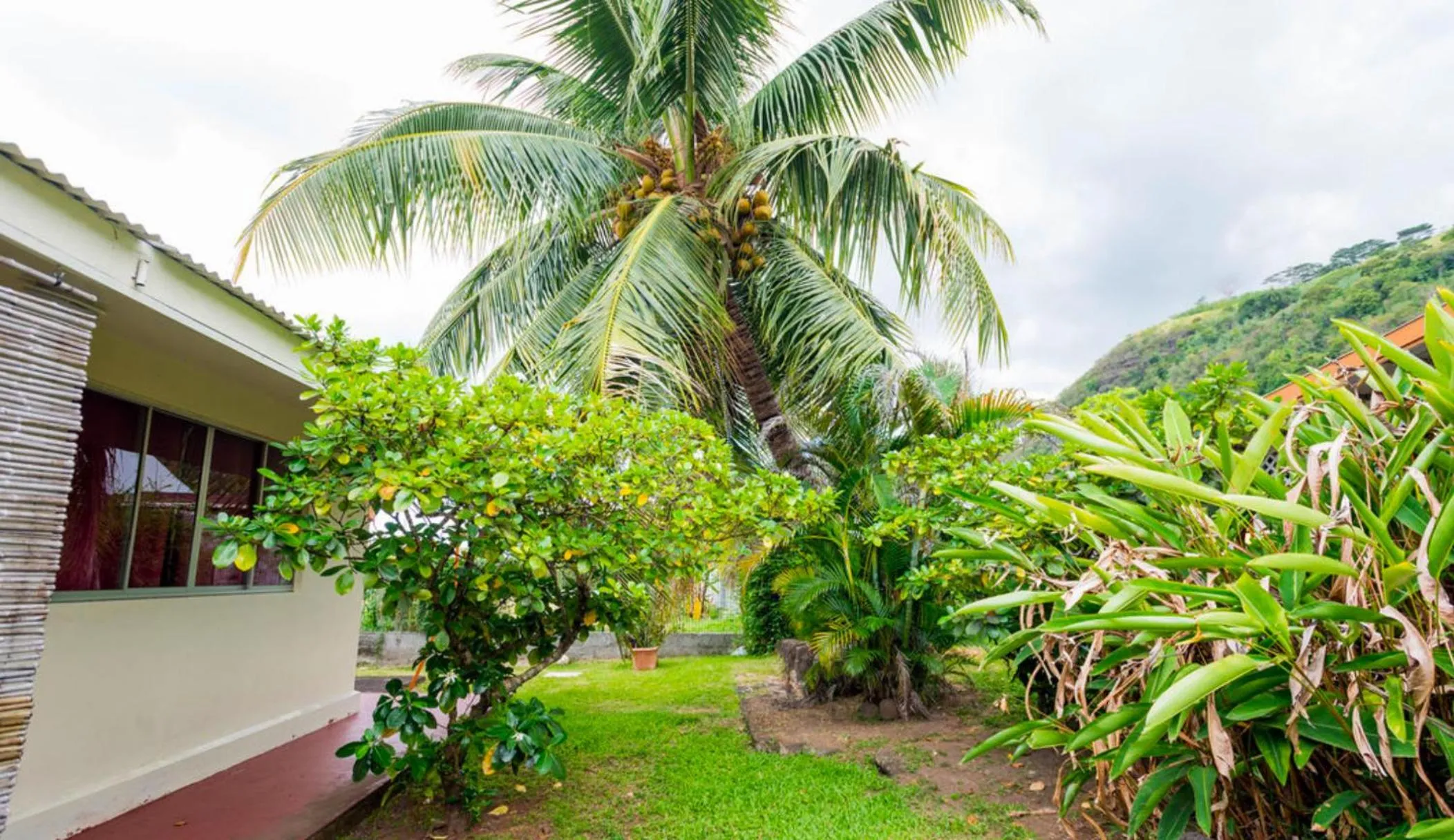 Garden view in Pension TE MITI - PLAGE-BEACH 200m - Mahana Parc & Vaiava Beach pk18 - B&B CHAMBRES ou DORTOIR