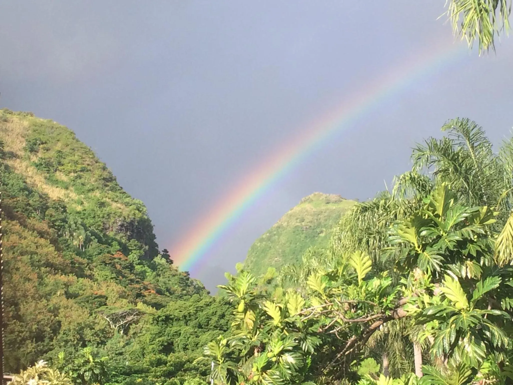Natural landscape in Pension TE MITI - PLAGE-BEACH 200m - Mahana Parc & Vaiava Beach pk18 - B&B CHAMBRES ou DORTOIR
