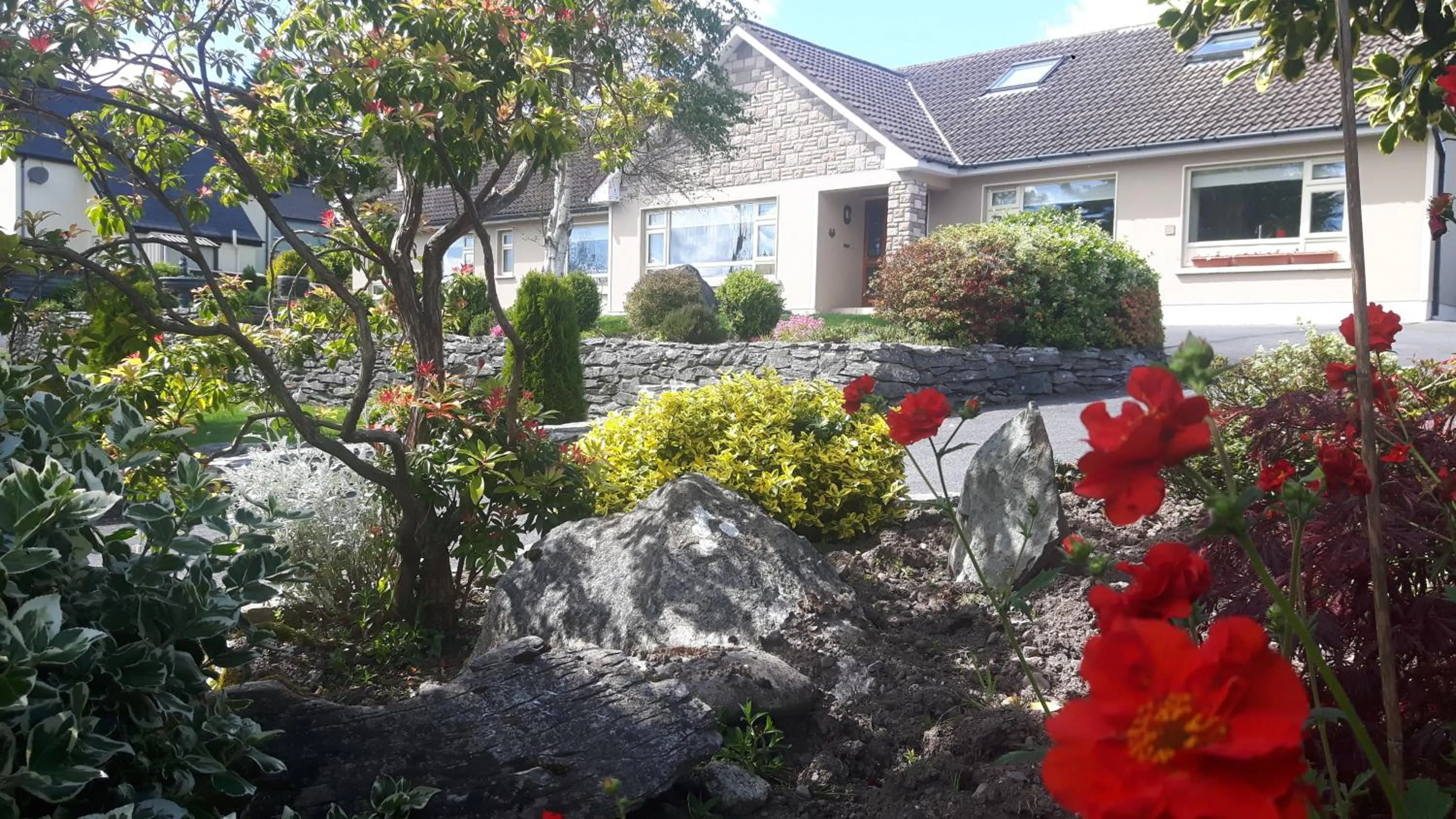 Garden in Laburnum B&B