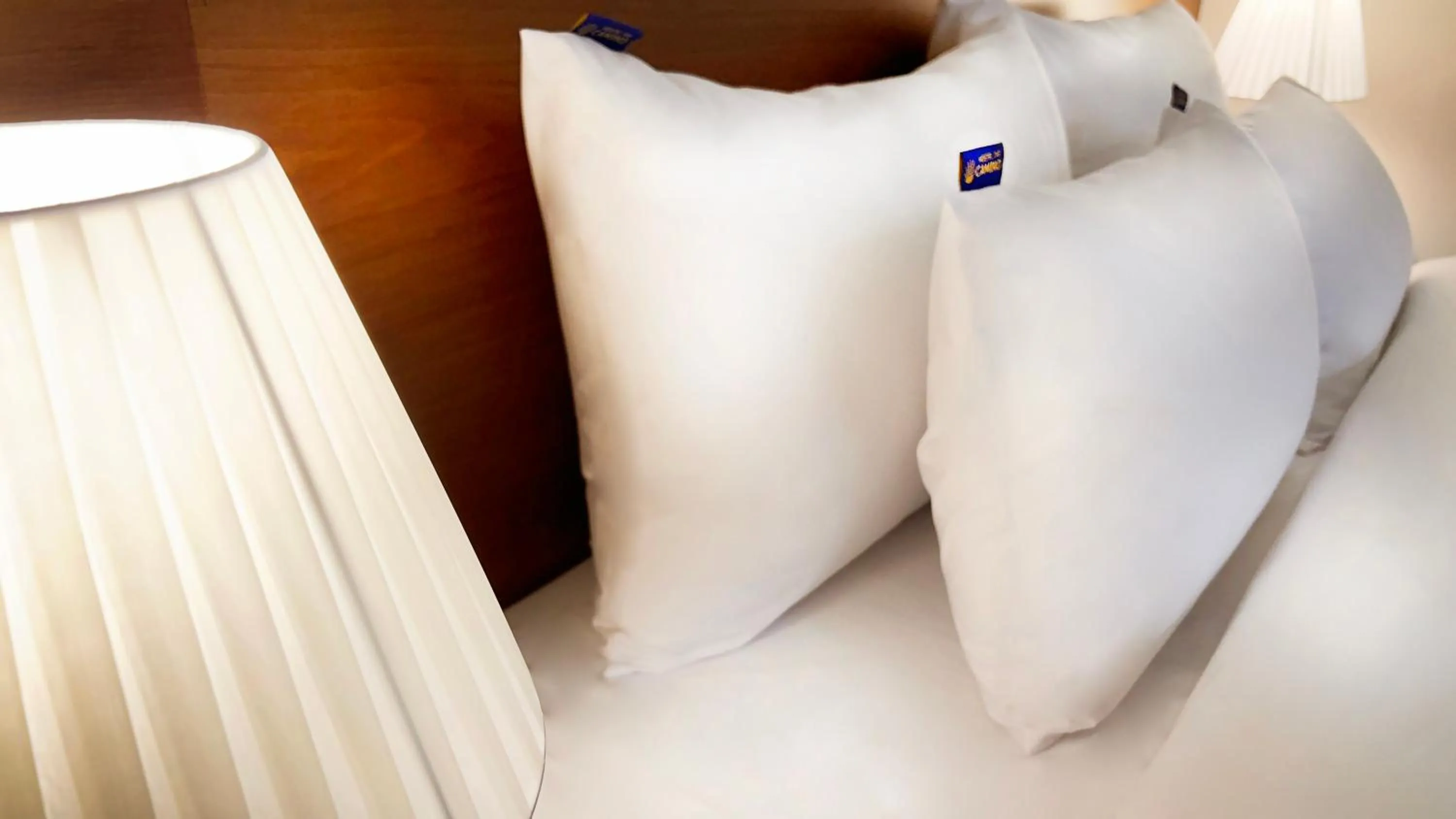 Bed in Hostel the Camino Seoul