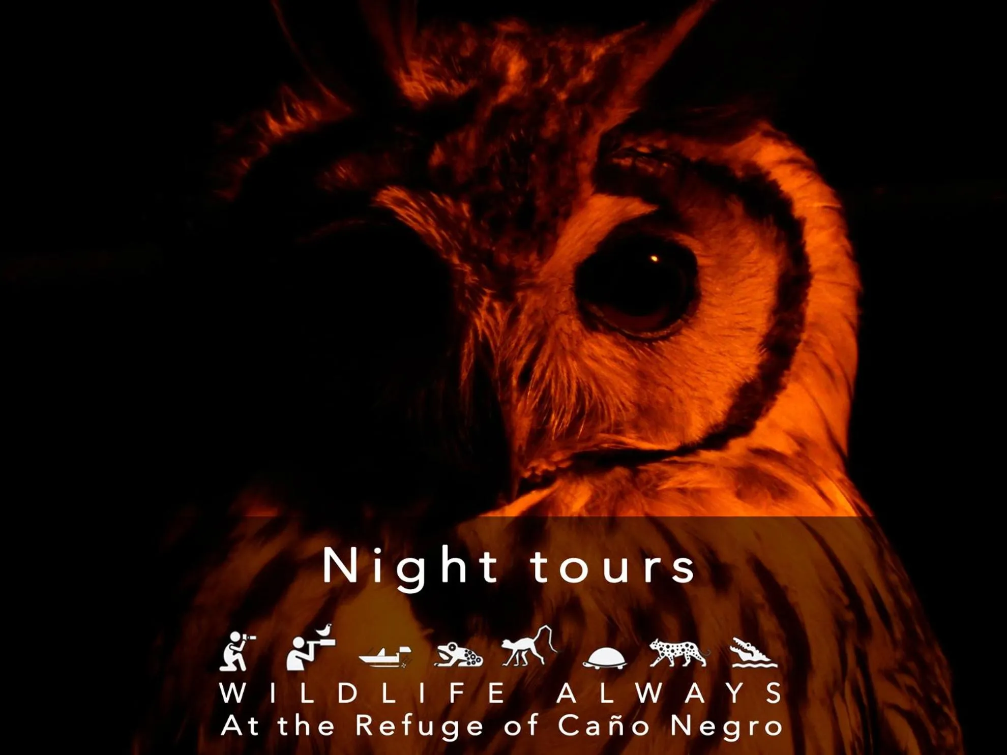 Activities in Hotel de Campo Caño Negro