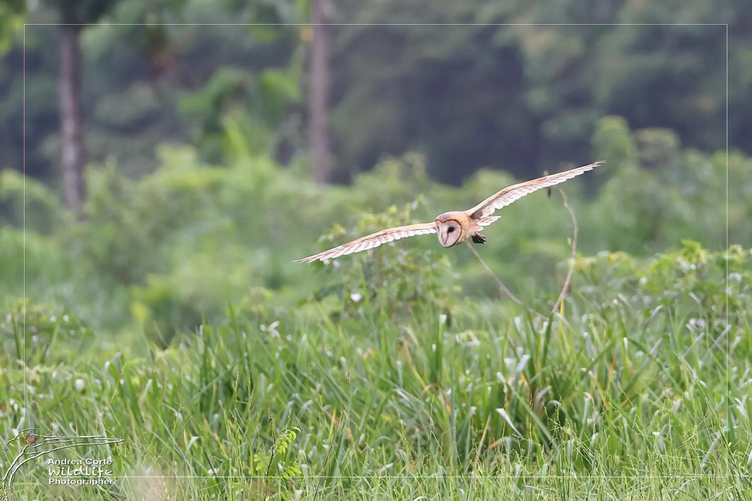 Activities in Hotel de Campo Caño Negro