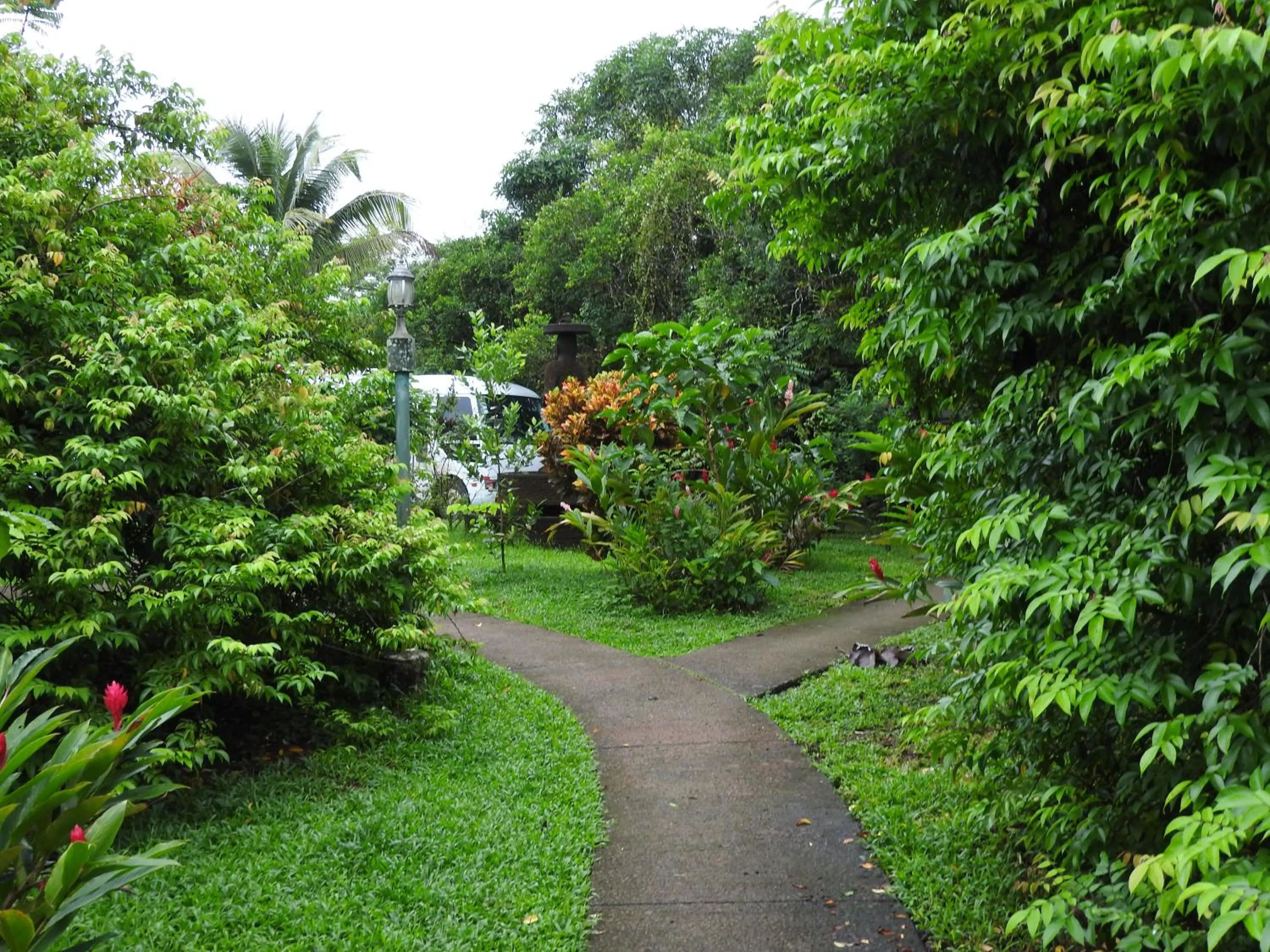 Garden in Hotel de Campo Caño Negro