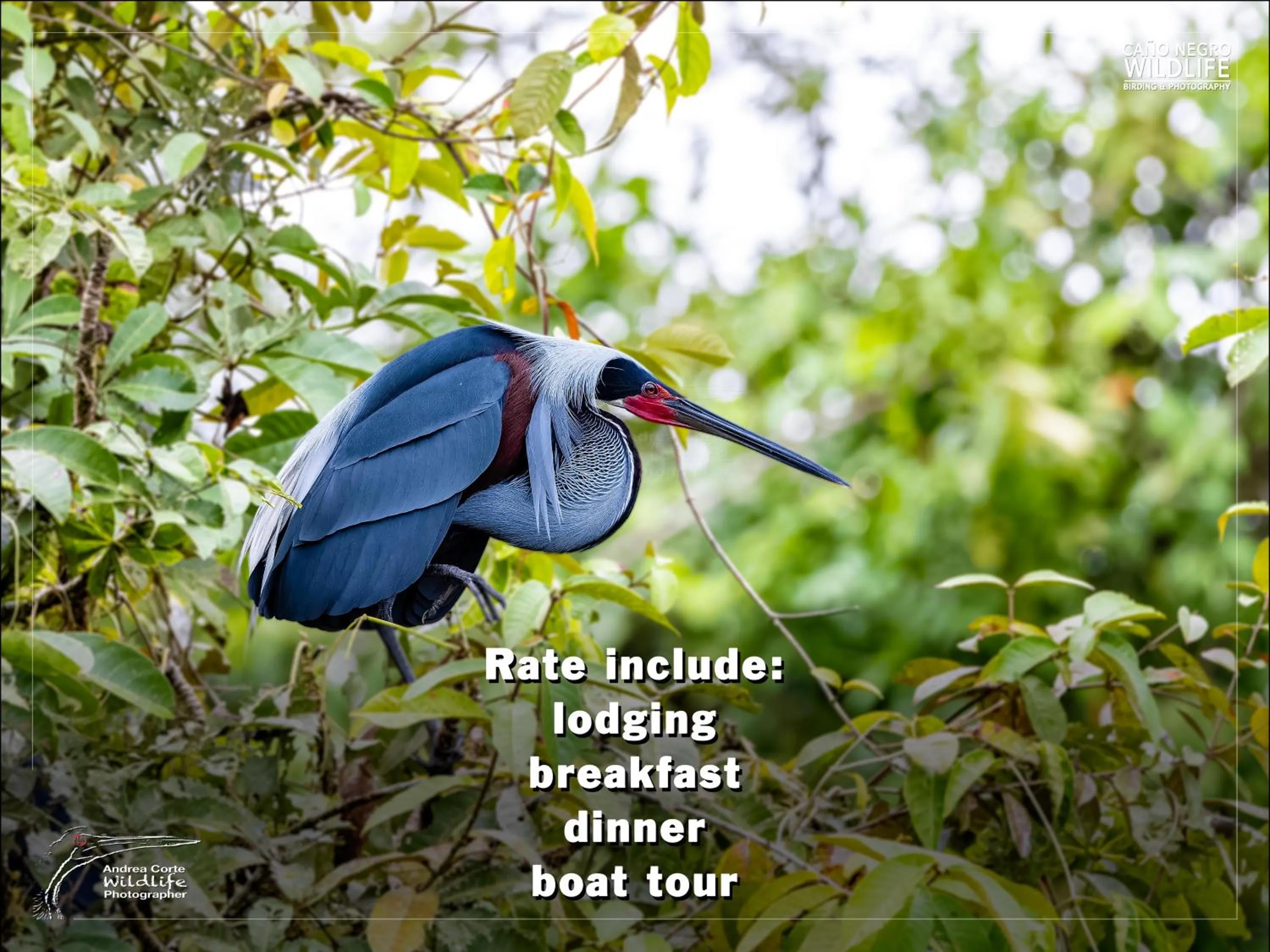 Hotel de Campo Caño Negro