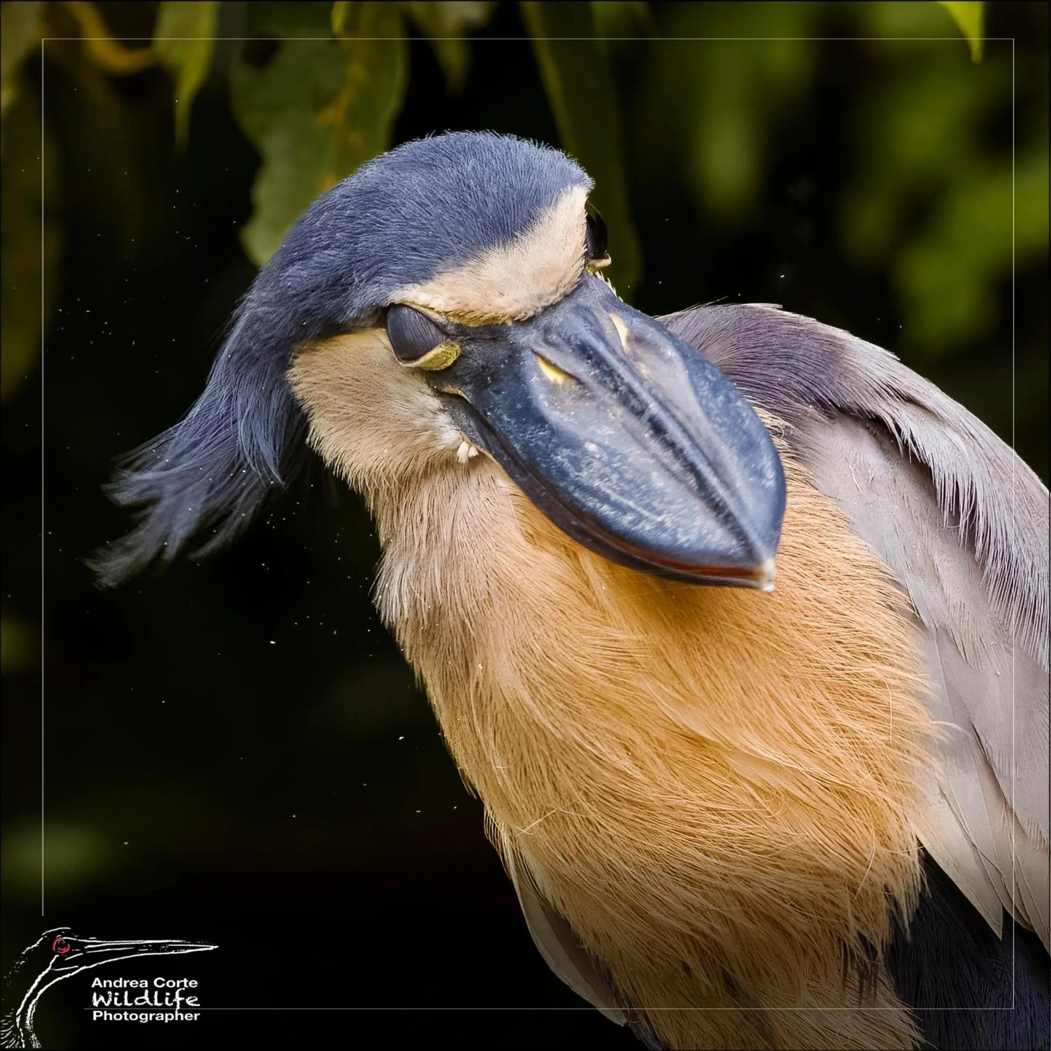 Activities in Hotel de Campo Caño Negro
