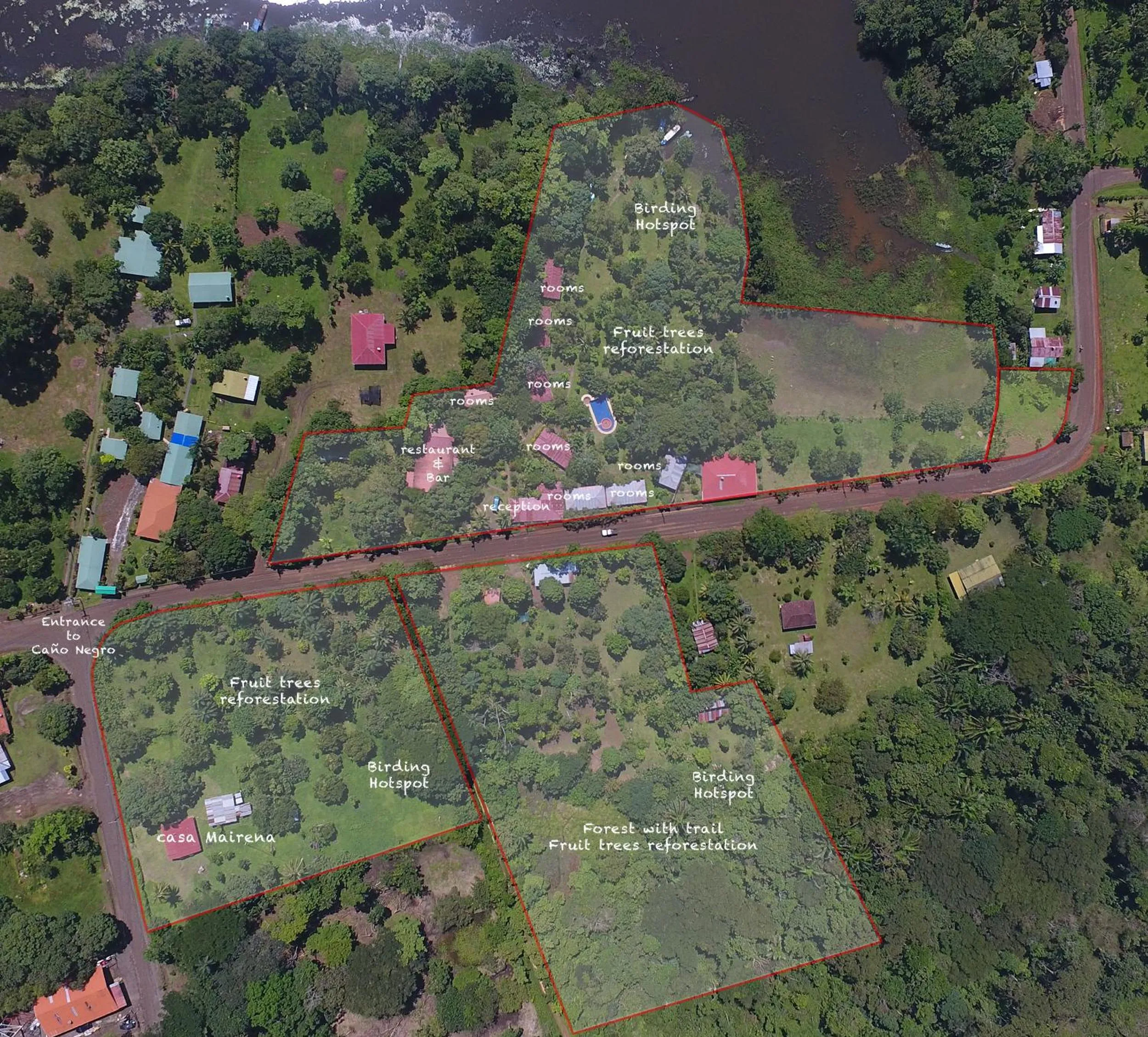 View (from property/room) in Hotel de Campo Caño Negro