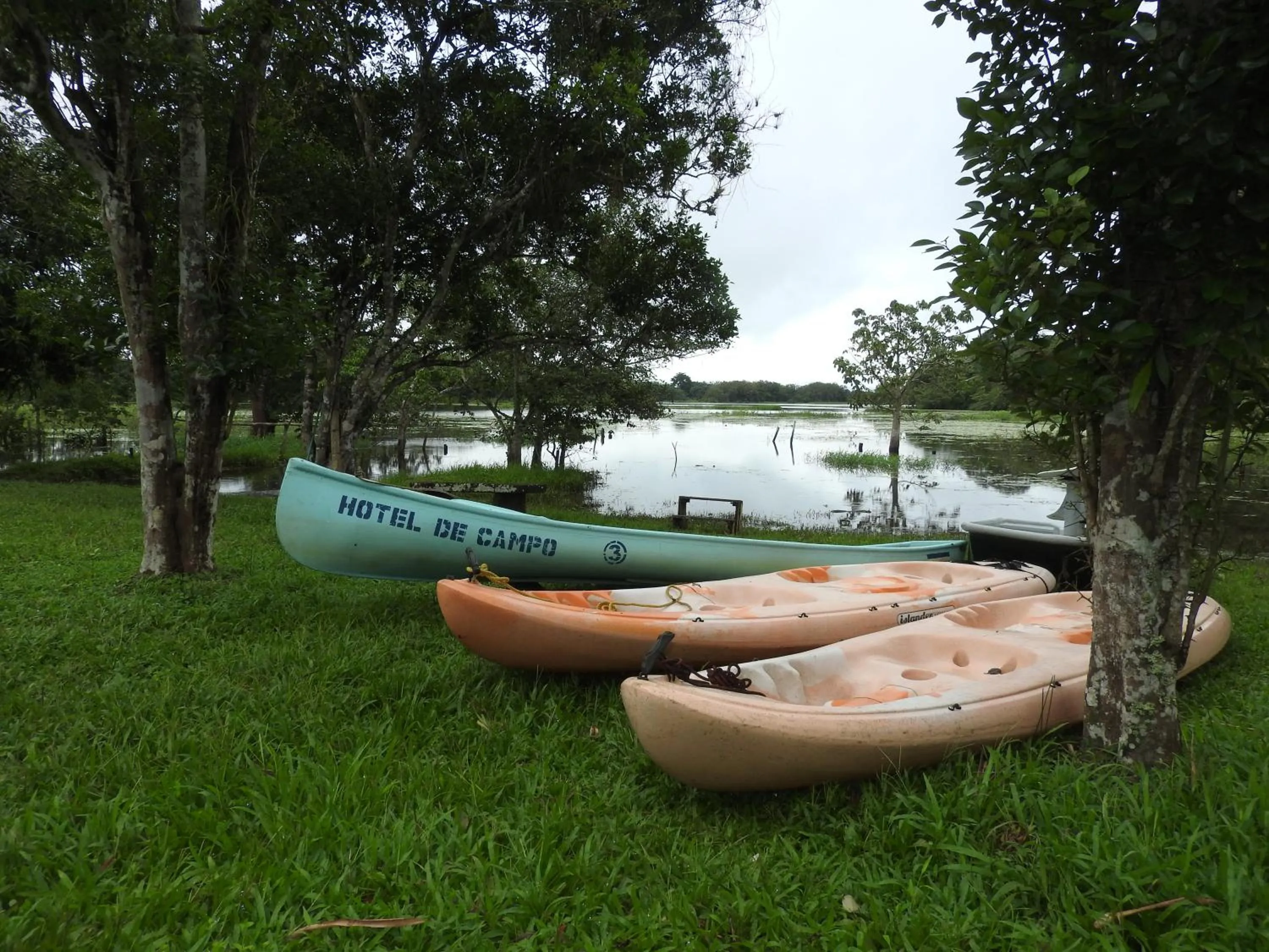 Property building in Hotel de Campo Caño Negro