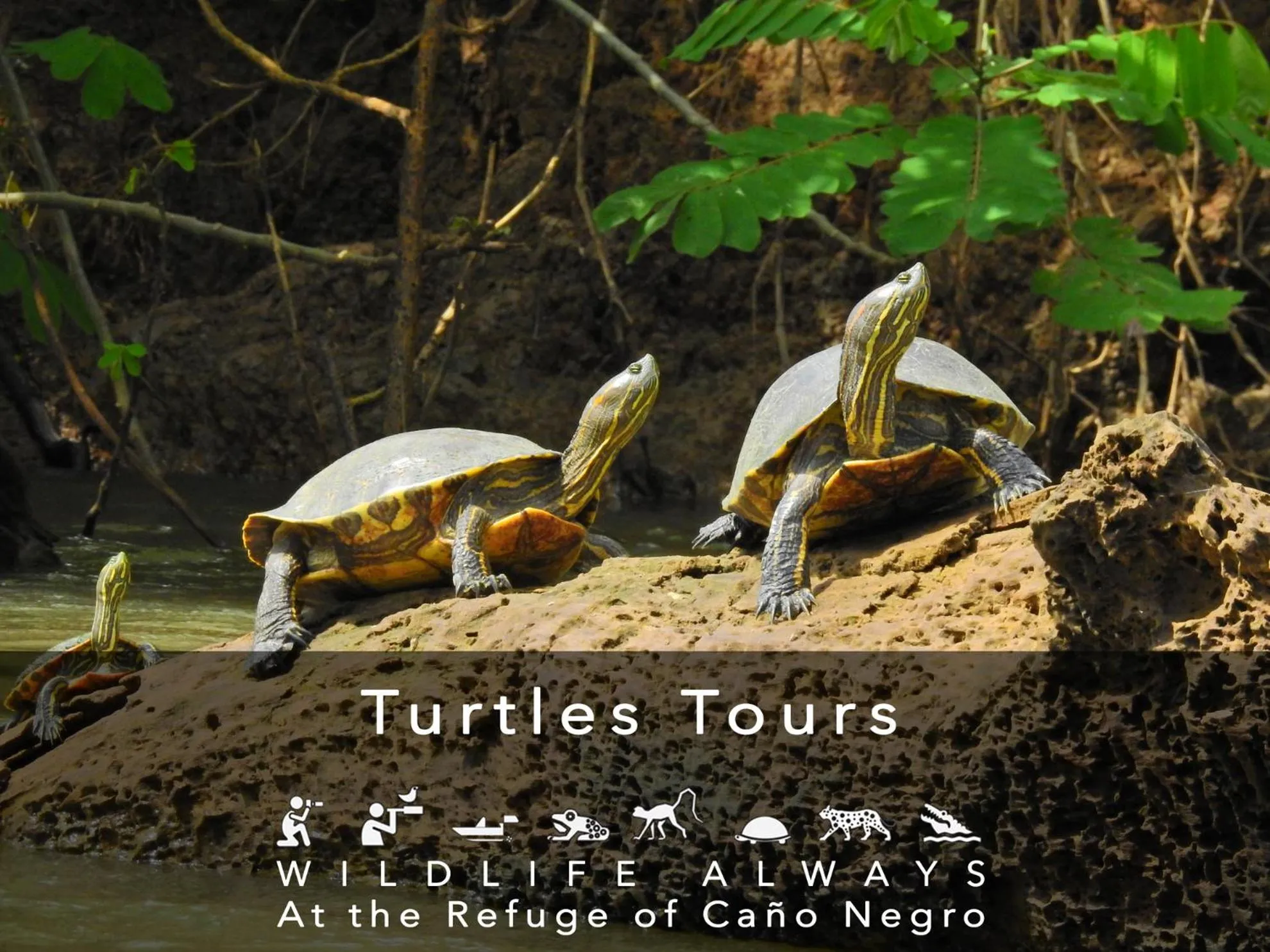 Natural landscape in Hotel de Campo Caño Negro