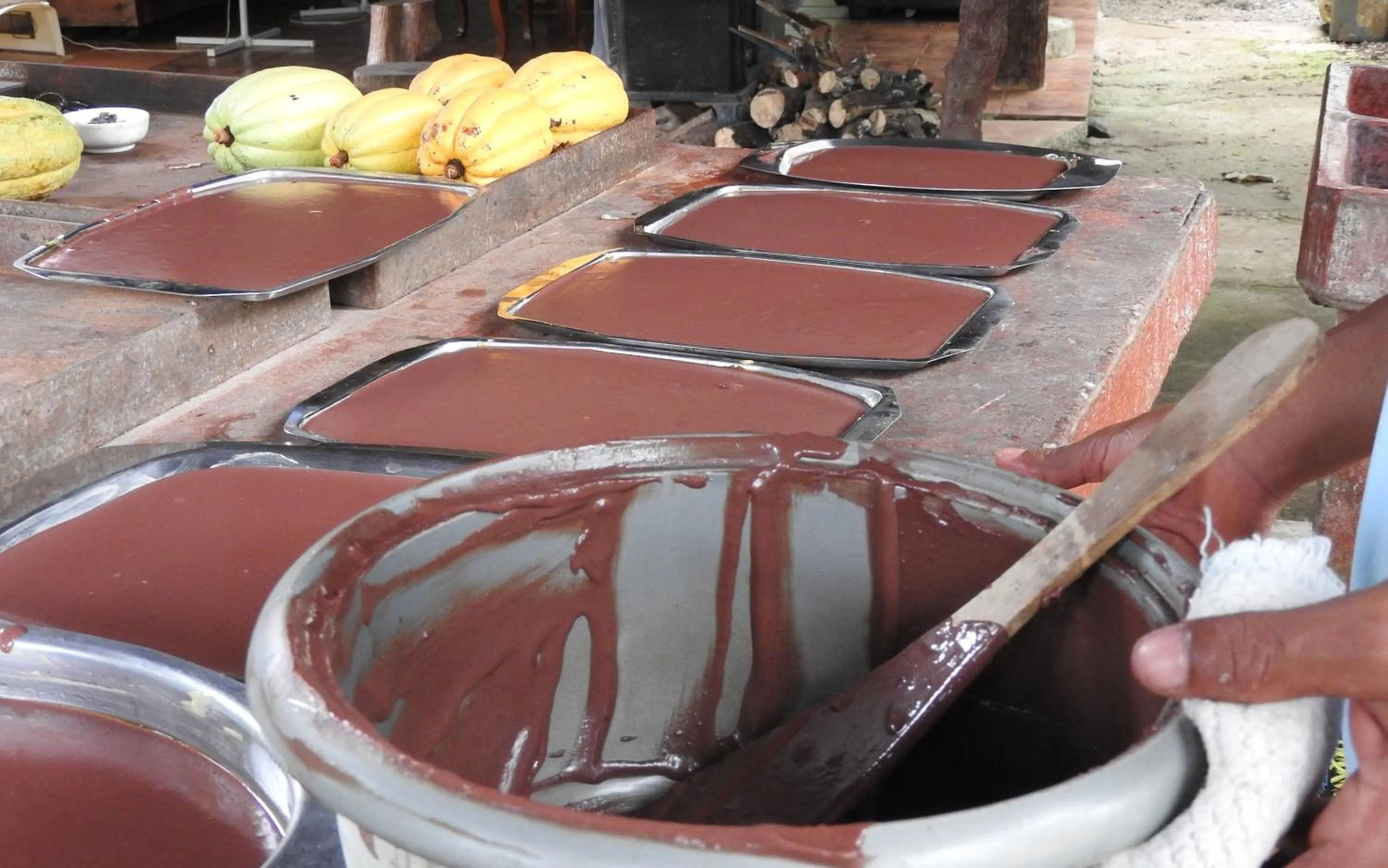 Food in Hotel de Campo Caño Negro