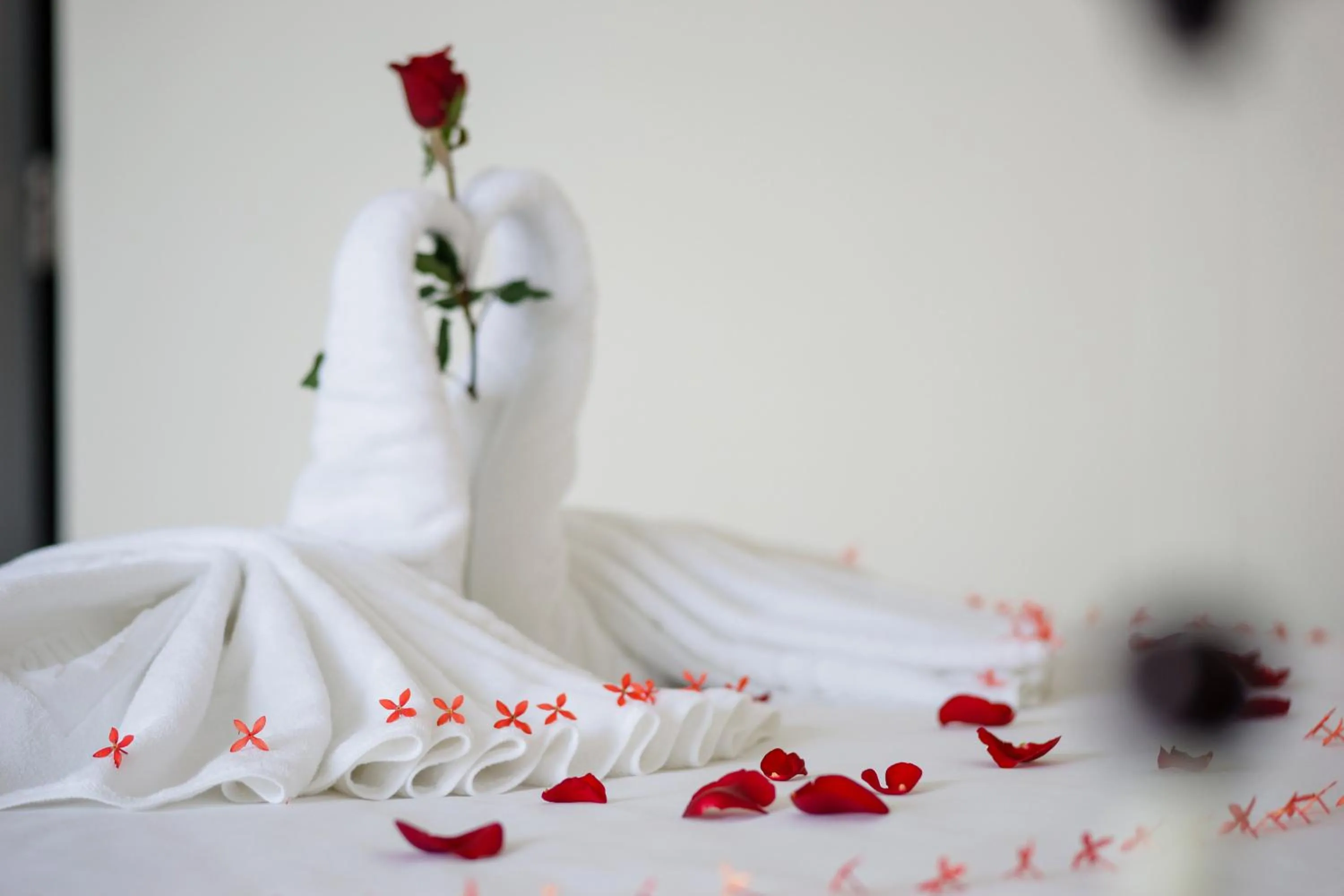 Bed in Phuc Thao Villa