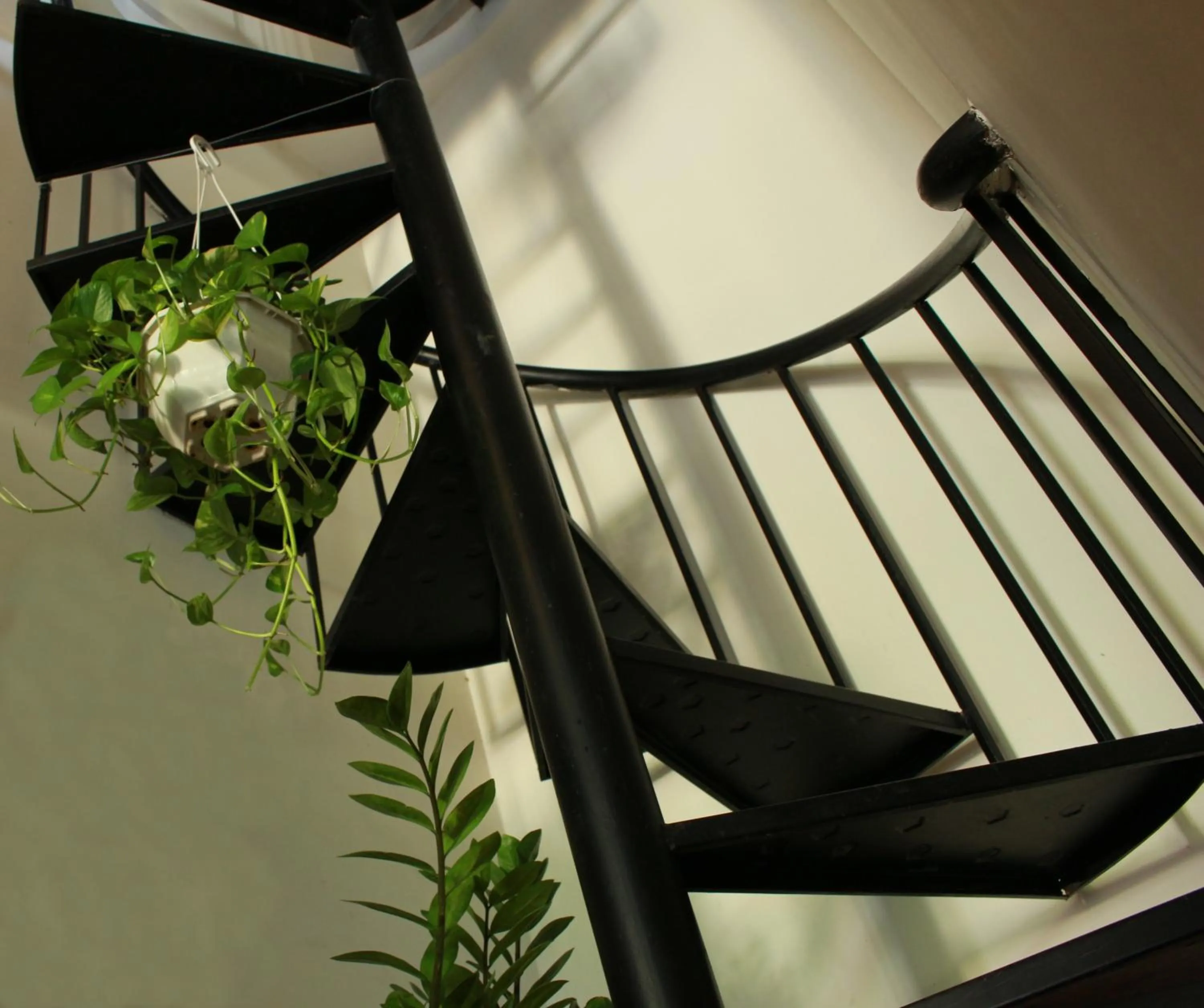 Property building in Phuc Thao Villa