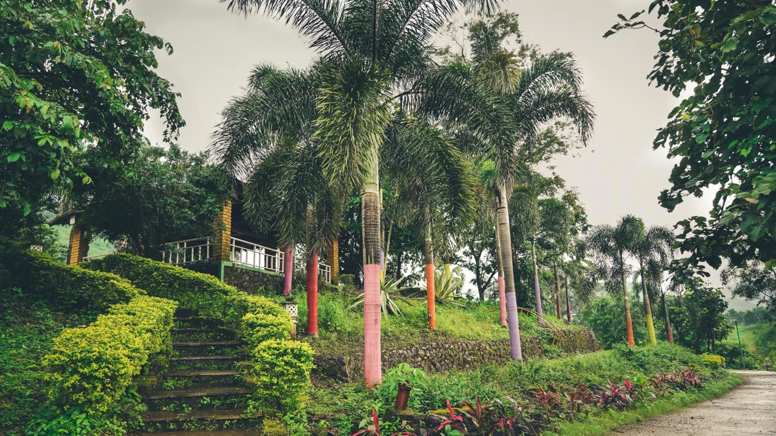 Day in Whispering Peepul Resort