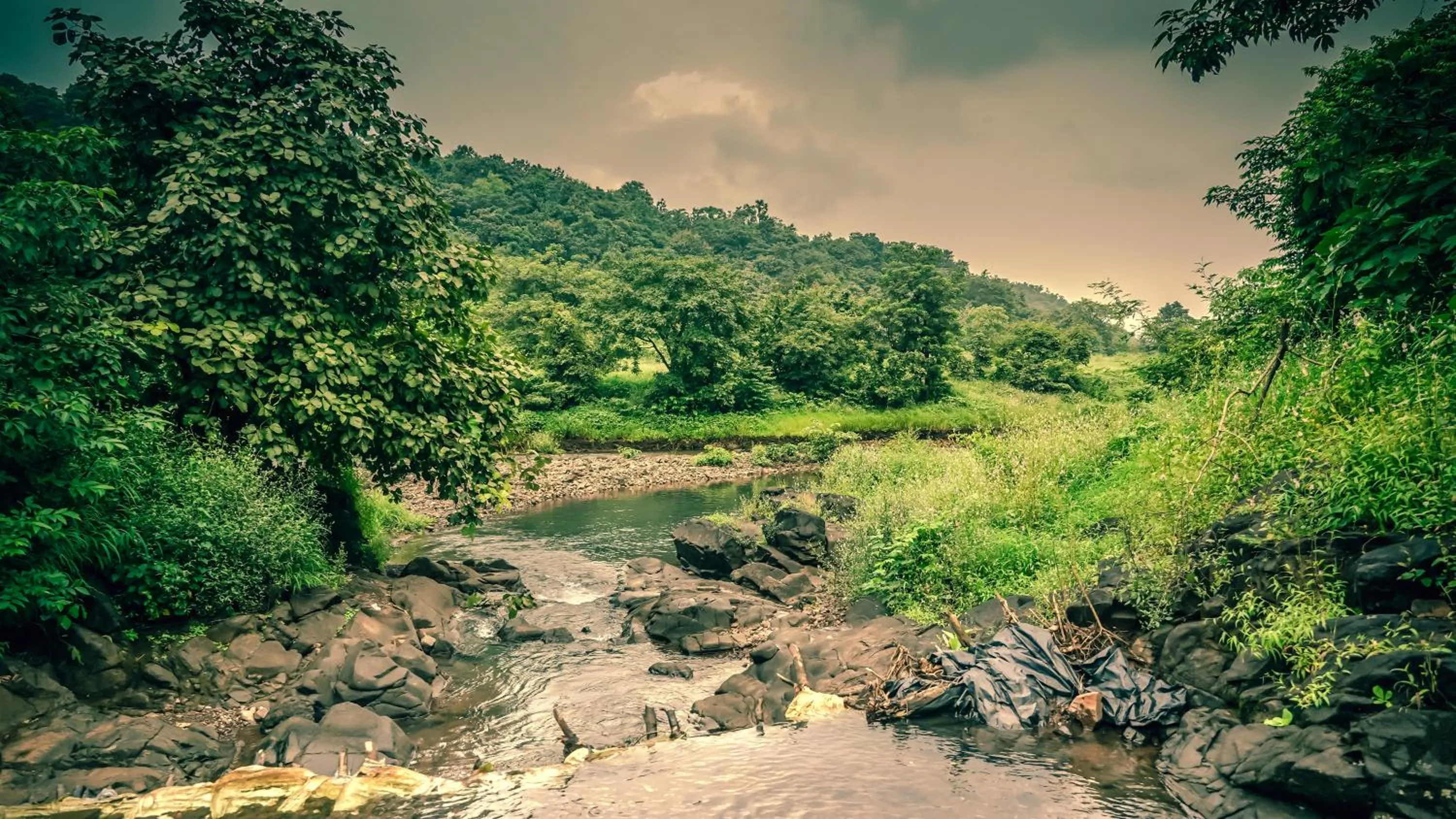 River view in Whispering Peepul Resort