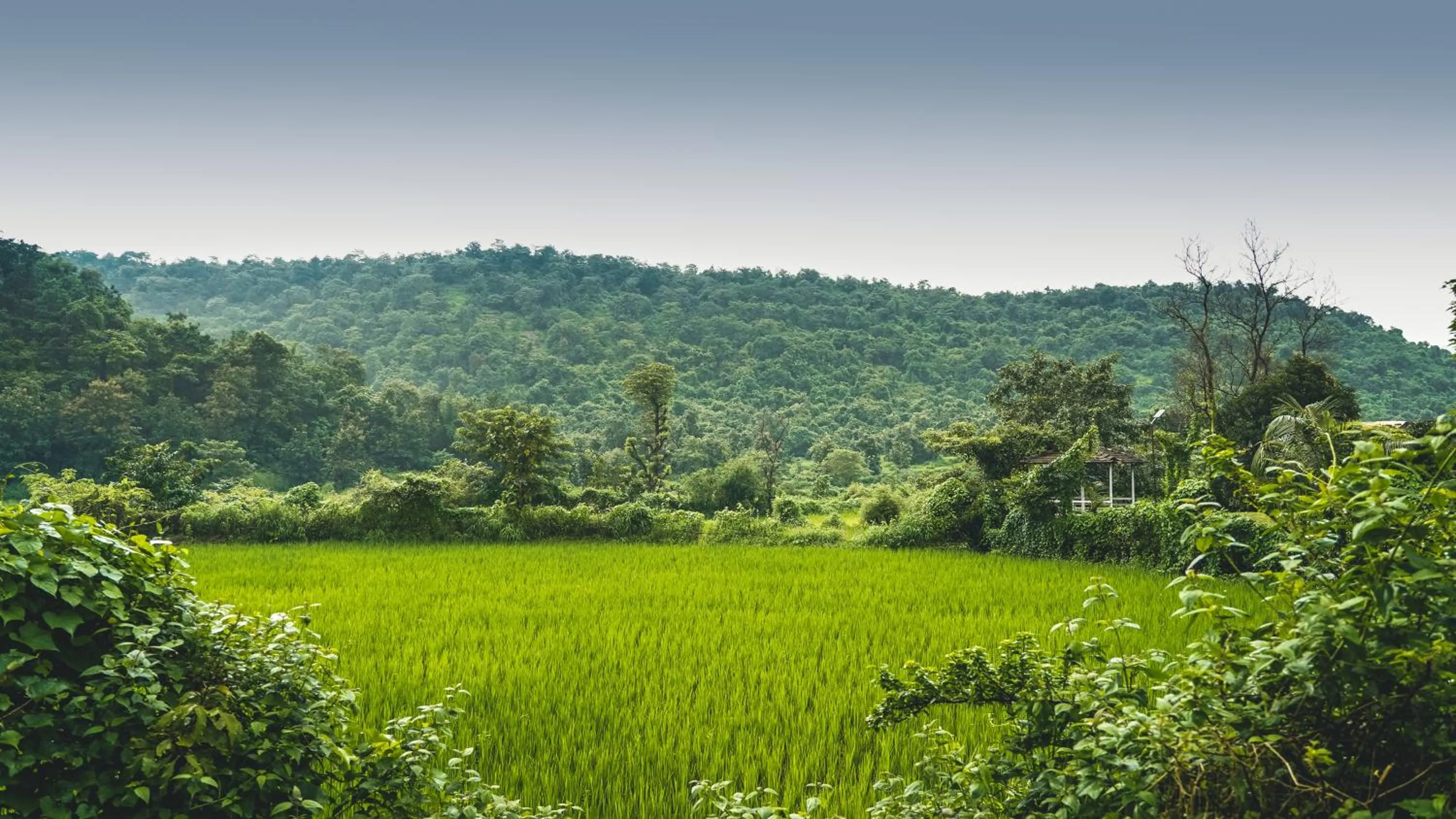 Nearby landmark in Whispering Peepul Resort