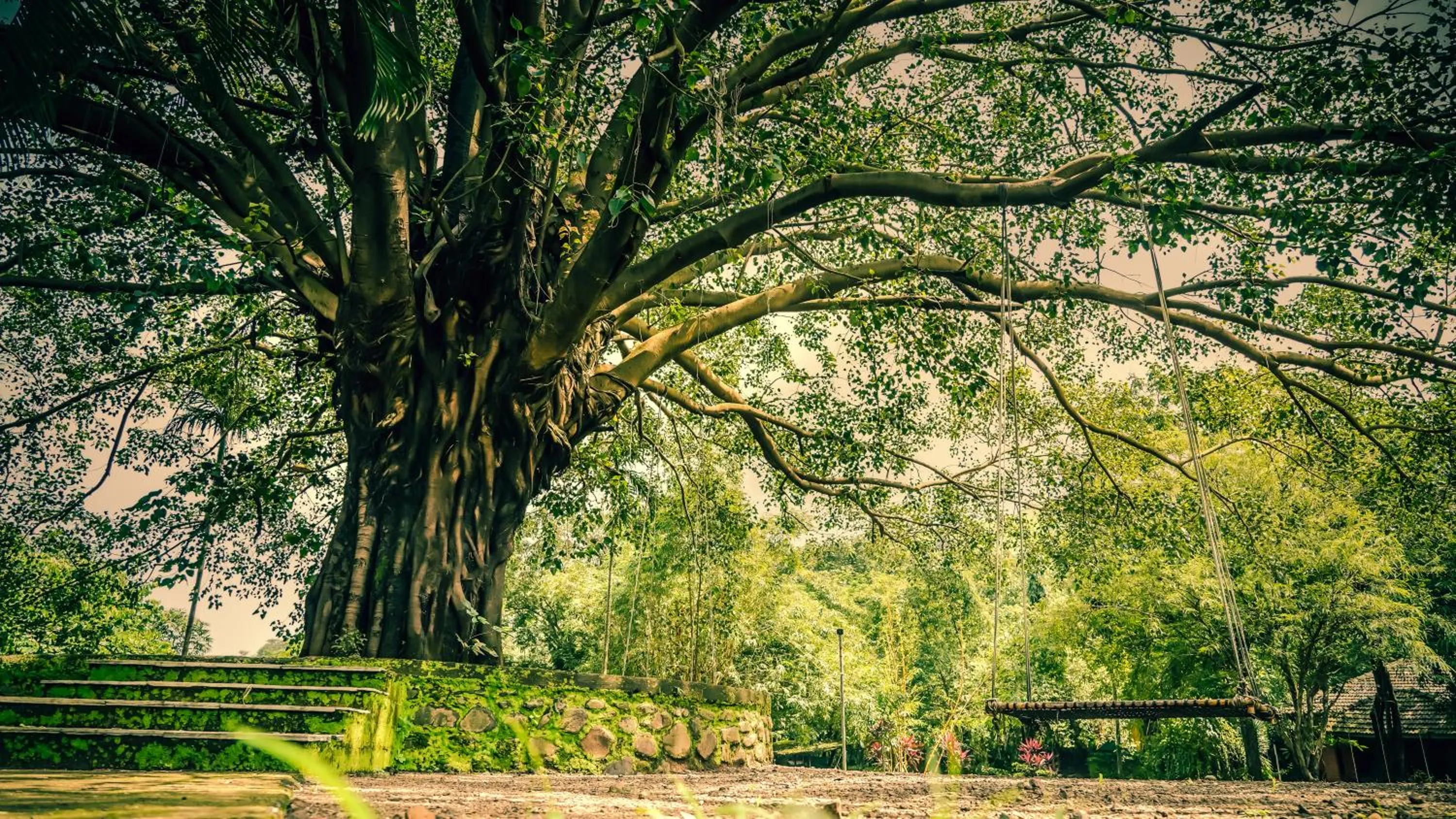 Natural landscape in Whispering Peepul Resort