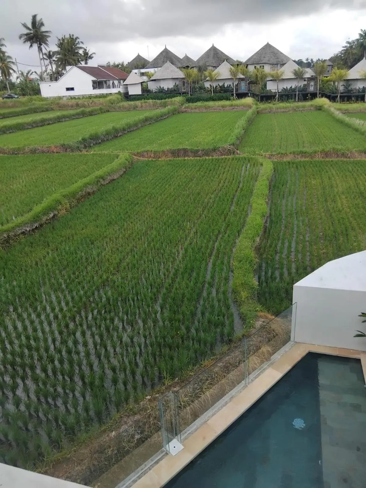 Coffee/tea facilities in Sujiwa Ubud Hotel & Villa