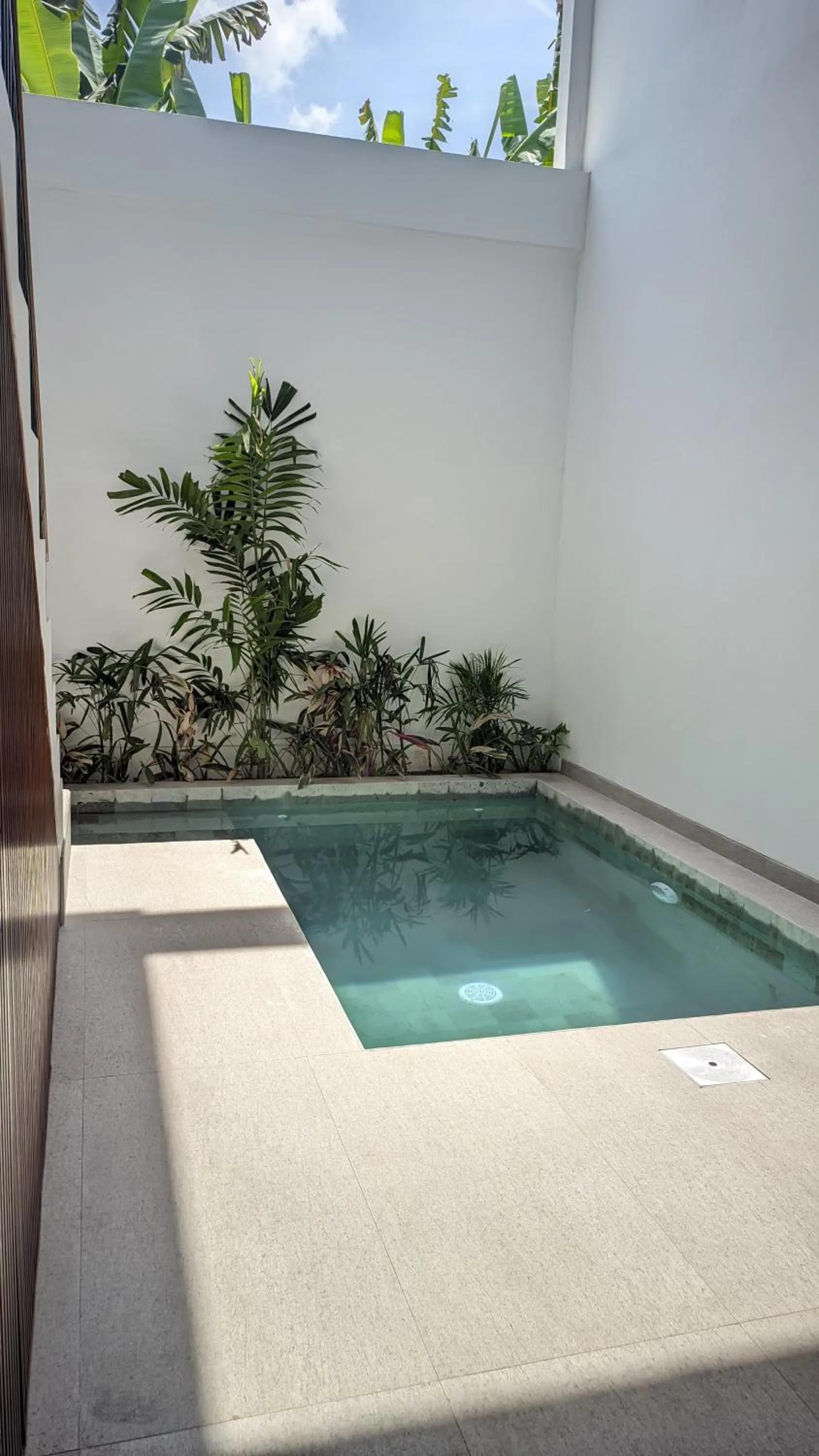 Natural landscape in Sujiwa Ubud Hotel & Villa