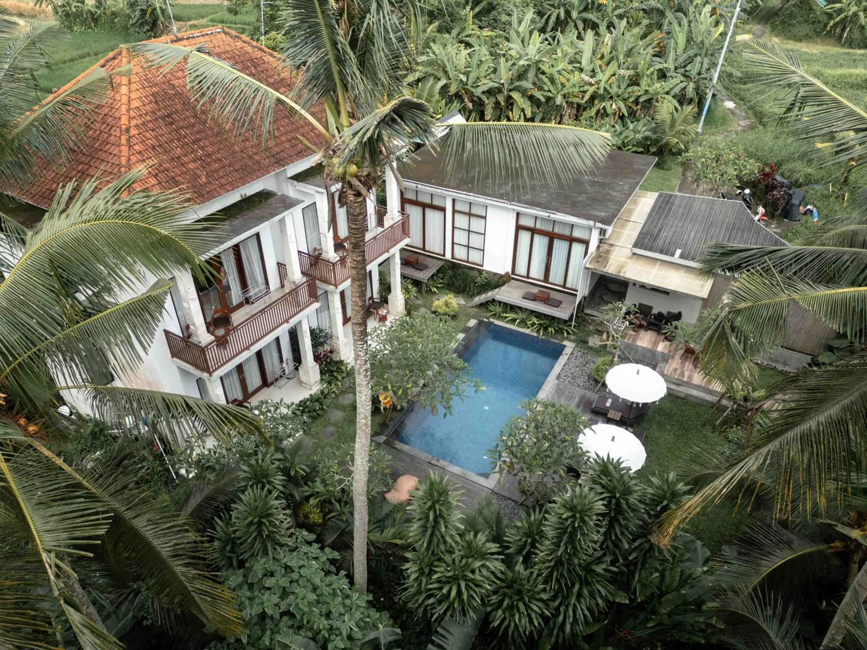 Property building in Suarsena Bisma Ubud