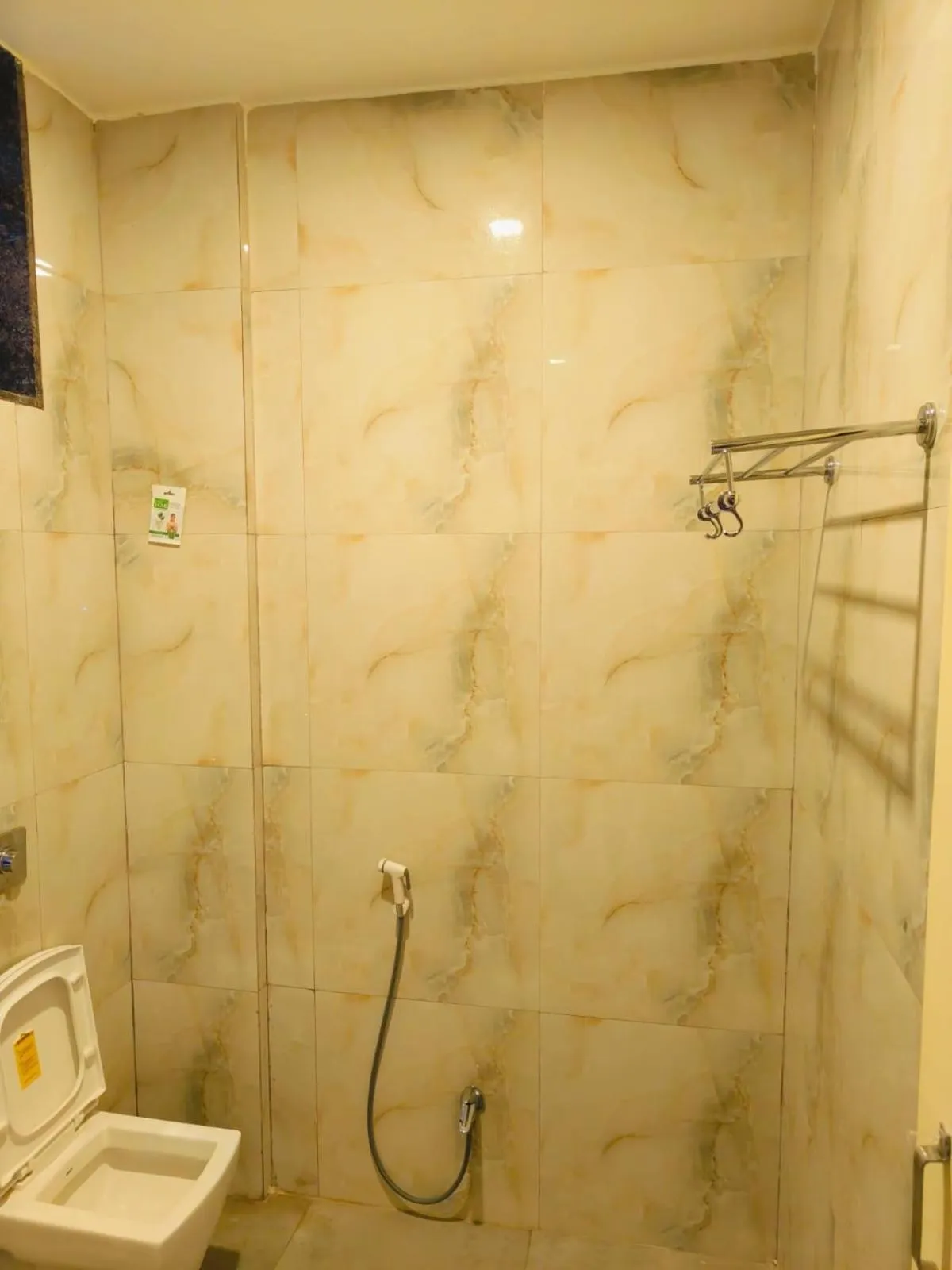 Shower in Hotel President Palace, Akkalkot
