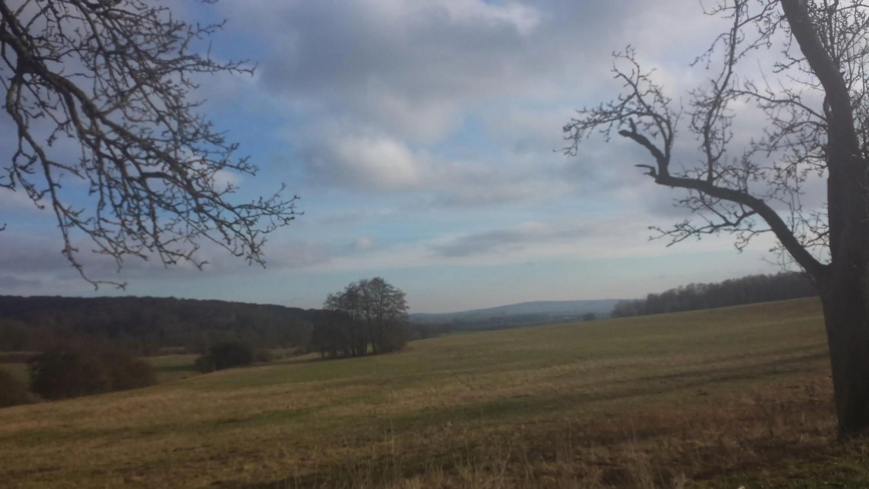 Natural landscape in Hotel Bad Langensalza Eichenhof