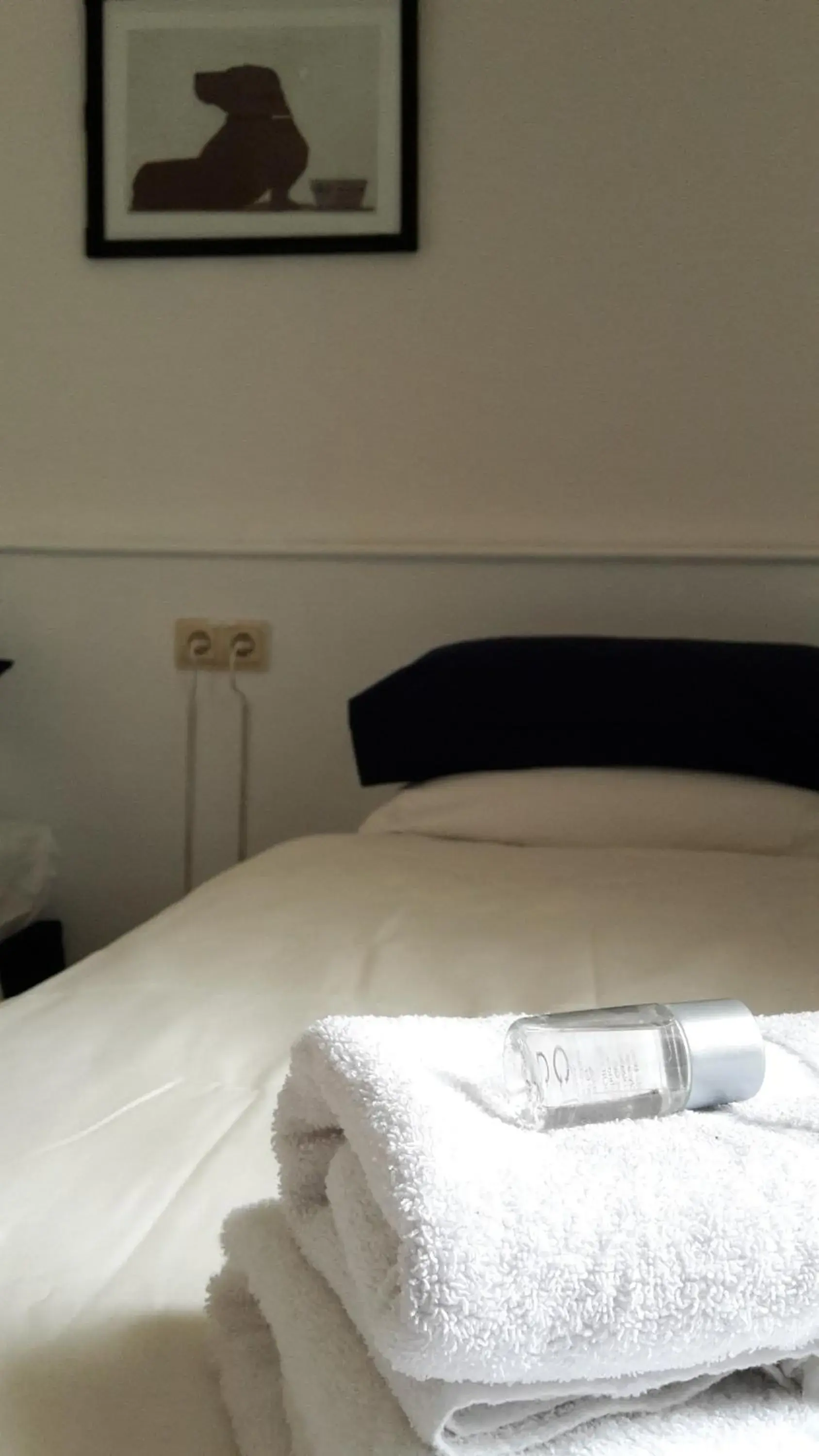 Economy Single Room in Hotel Bad Langensalza Eichenhof Economy Single Room in Hotel Bad Langensalza Eichenhof