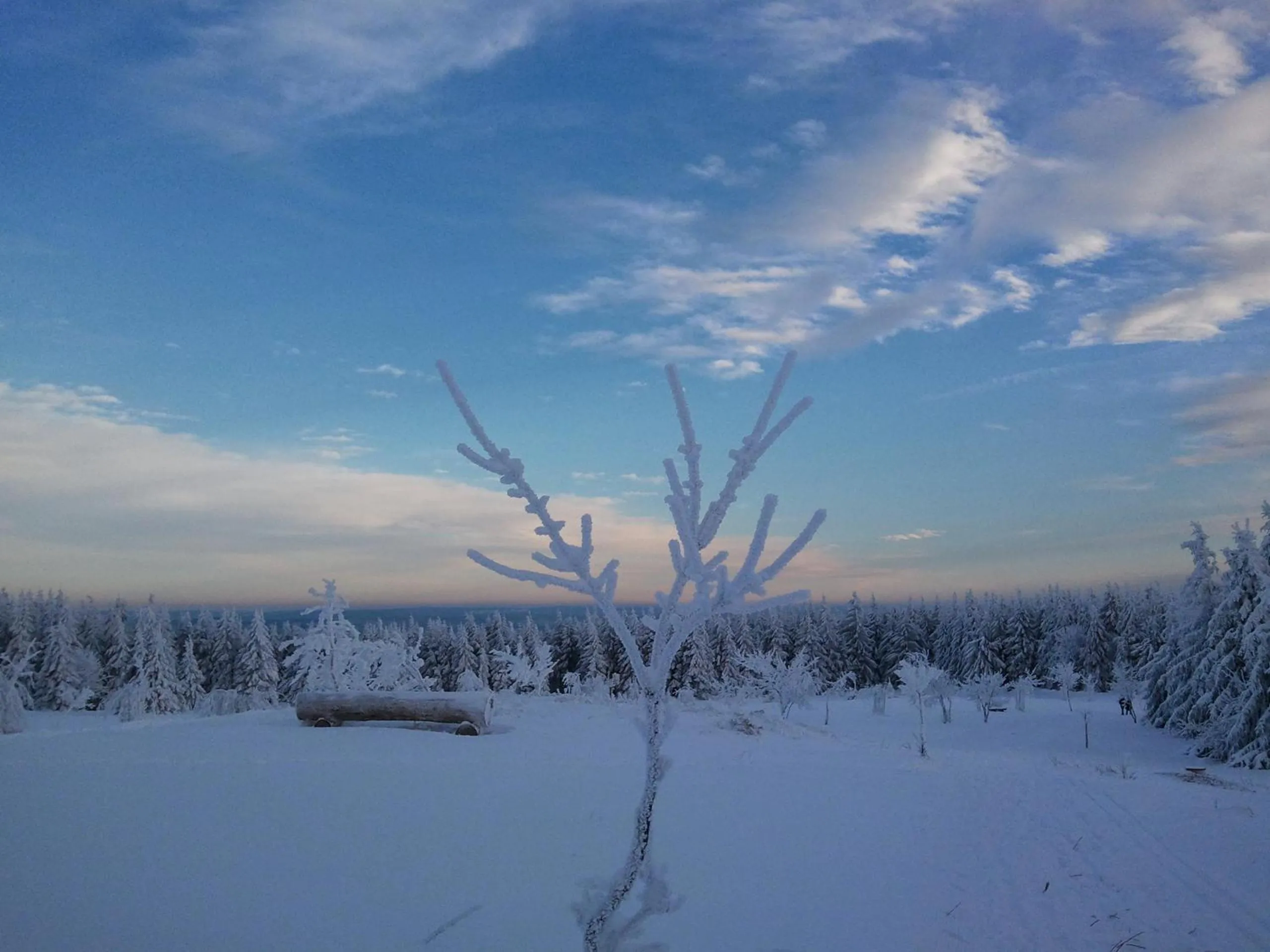 Area and facilities in Hotel Bad Langensalza Eichenhof