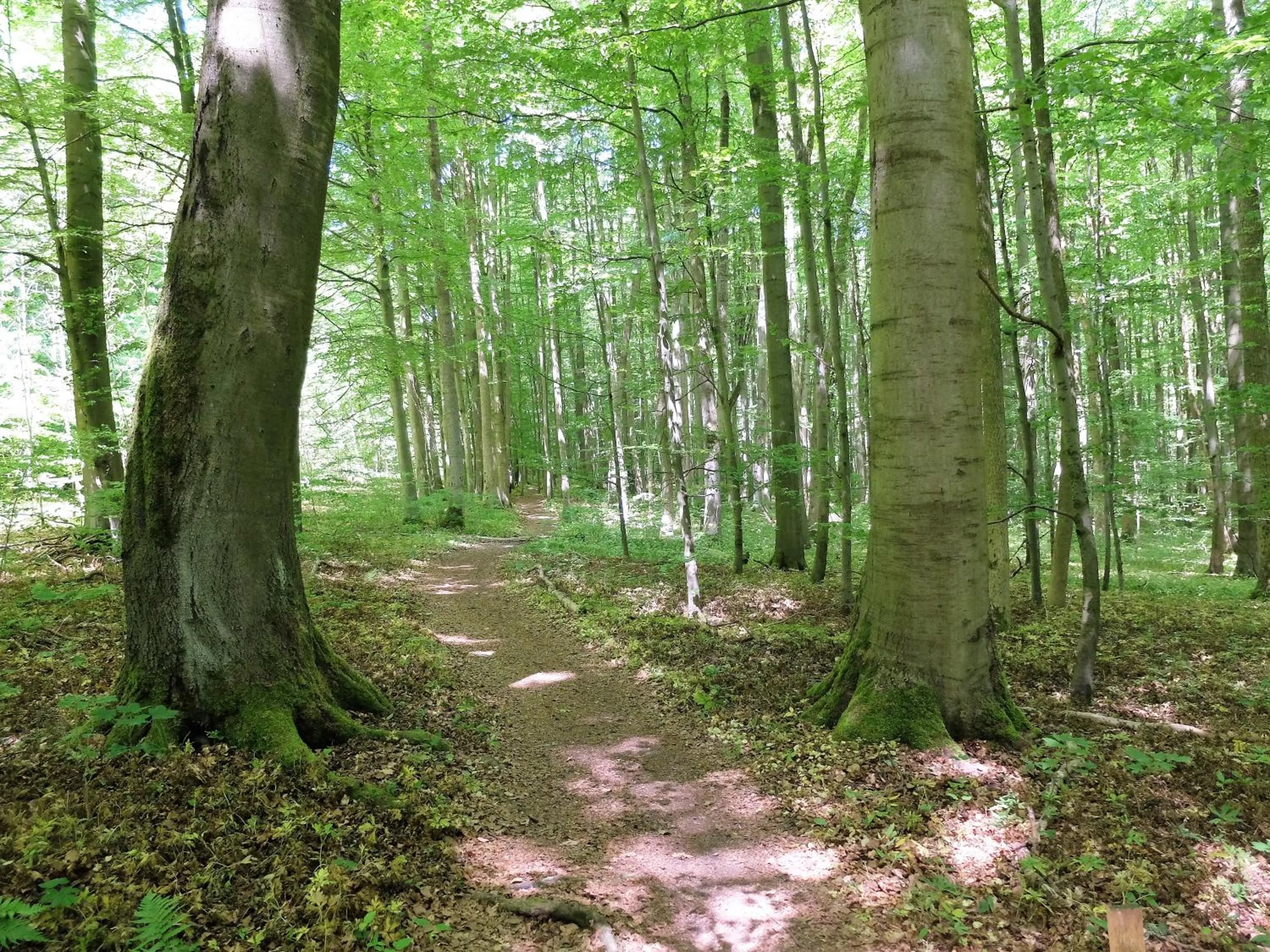 Nearby landmark in Hotel Bad Langensalza Eichenhof