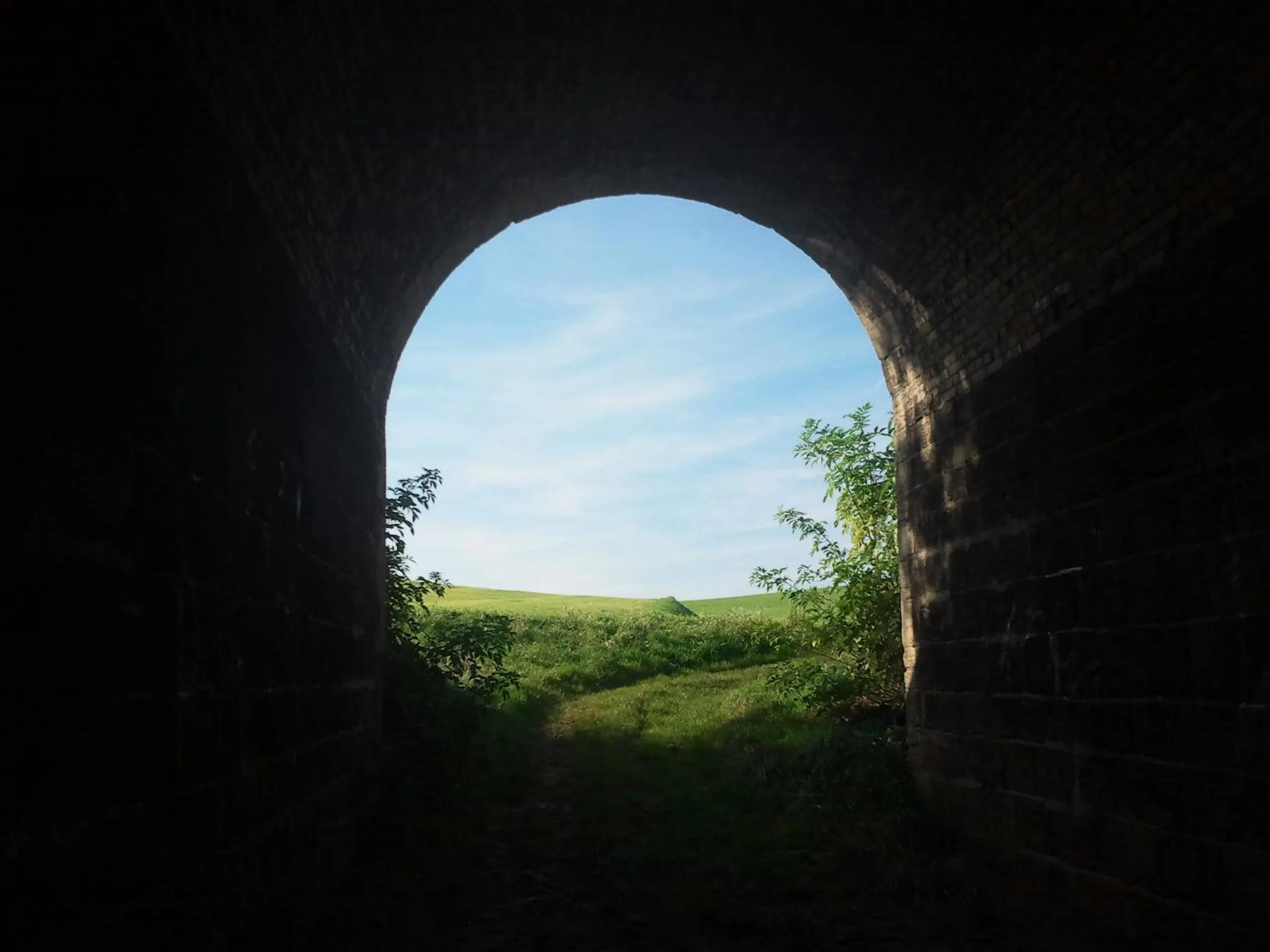 Natural landscape in Hotel Bad Langensalza Eichenhof