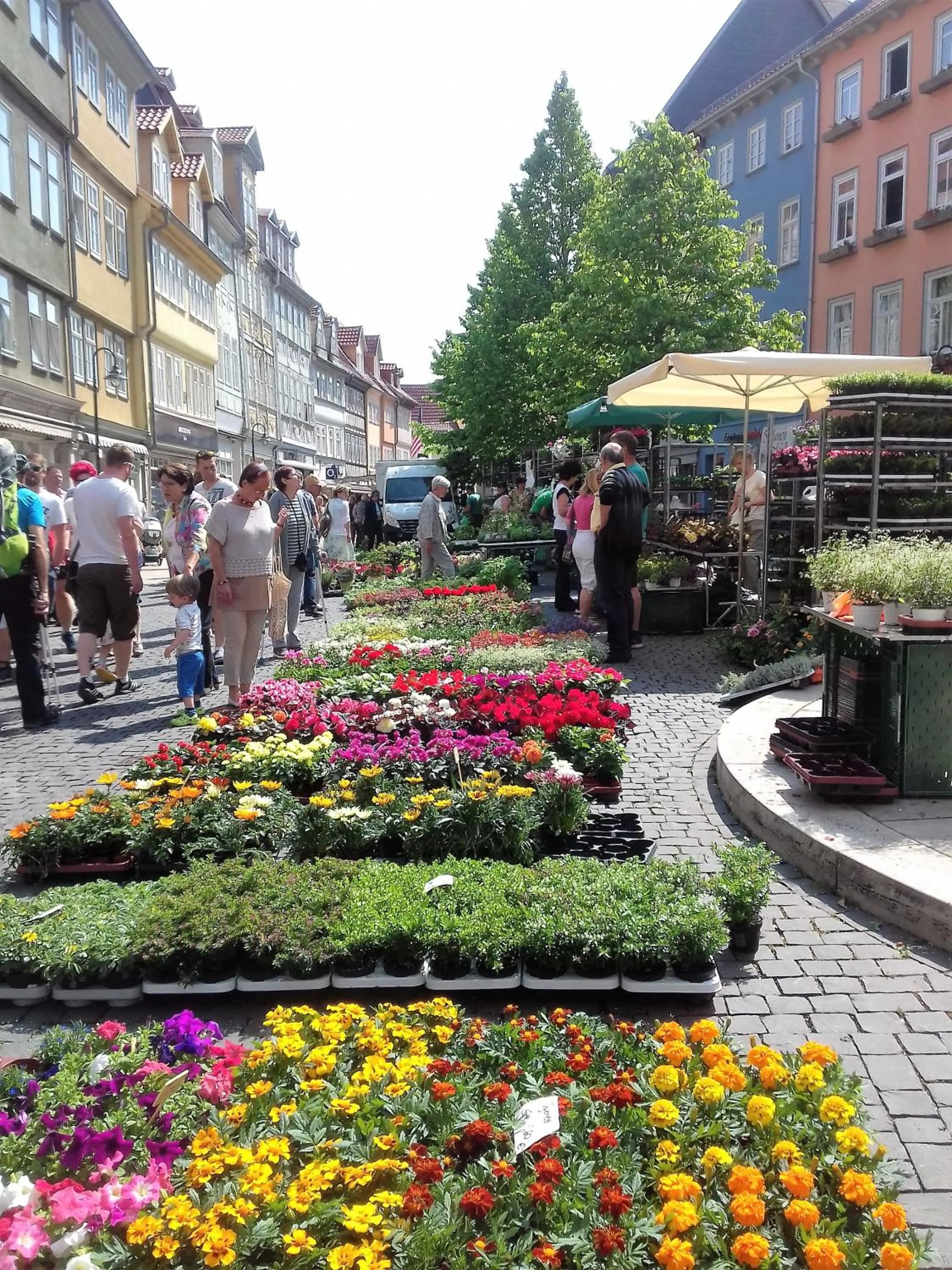 Nearby landmark in Hotel Bad Langensalza Eichenhof