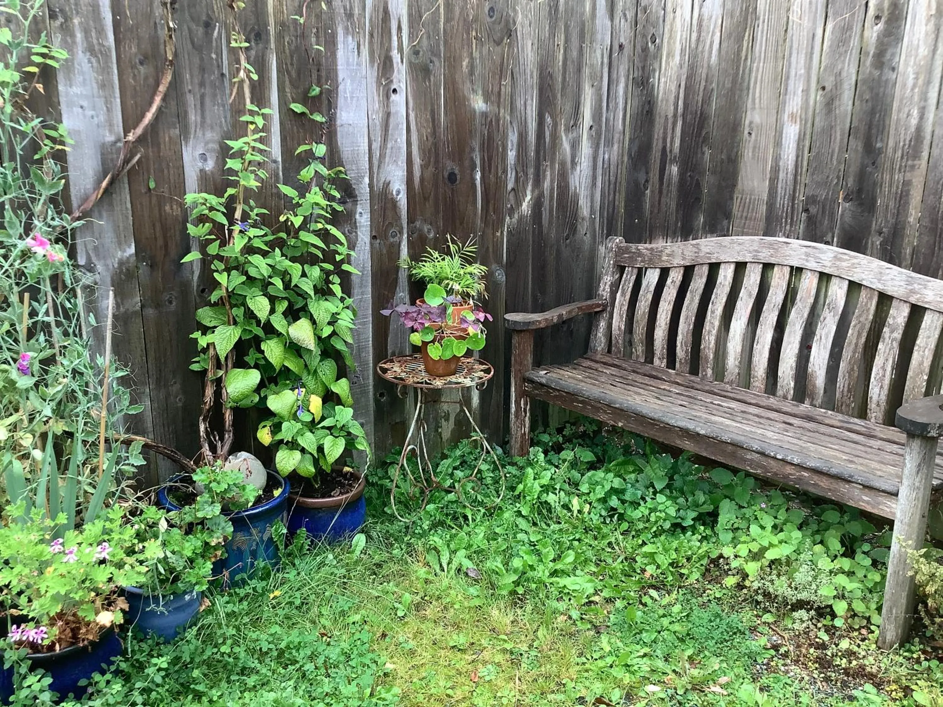 Primrose Villa self catering bnb