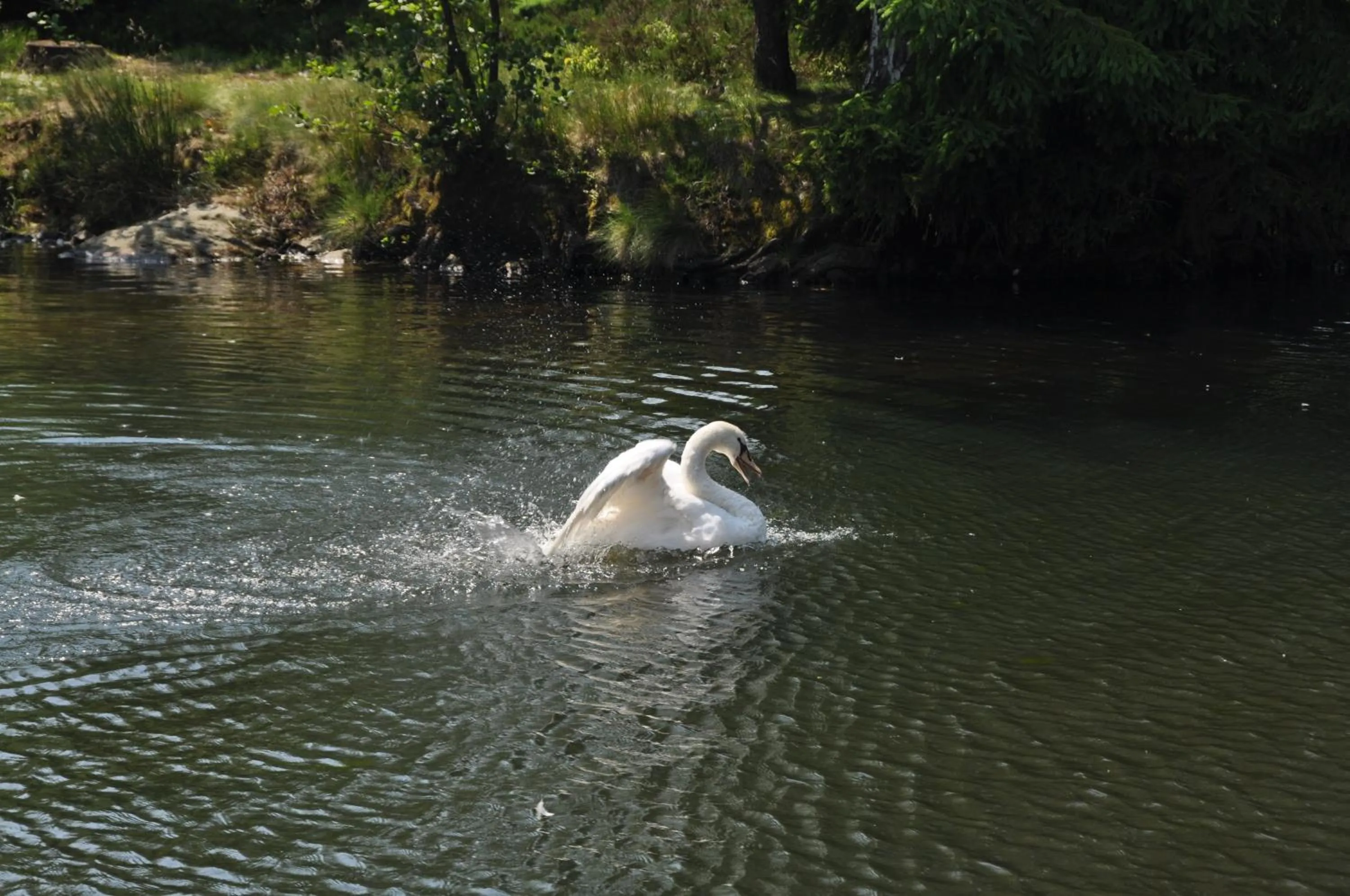 View (from property/room) in Hotel Gondelfahrt