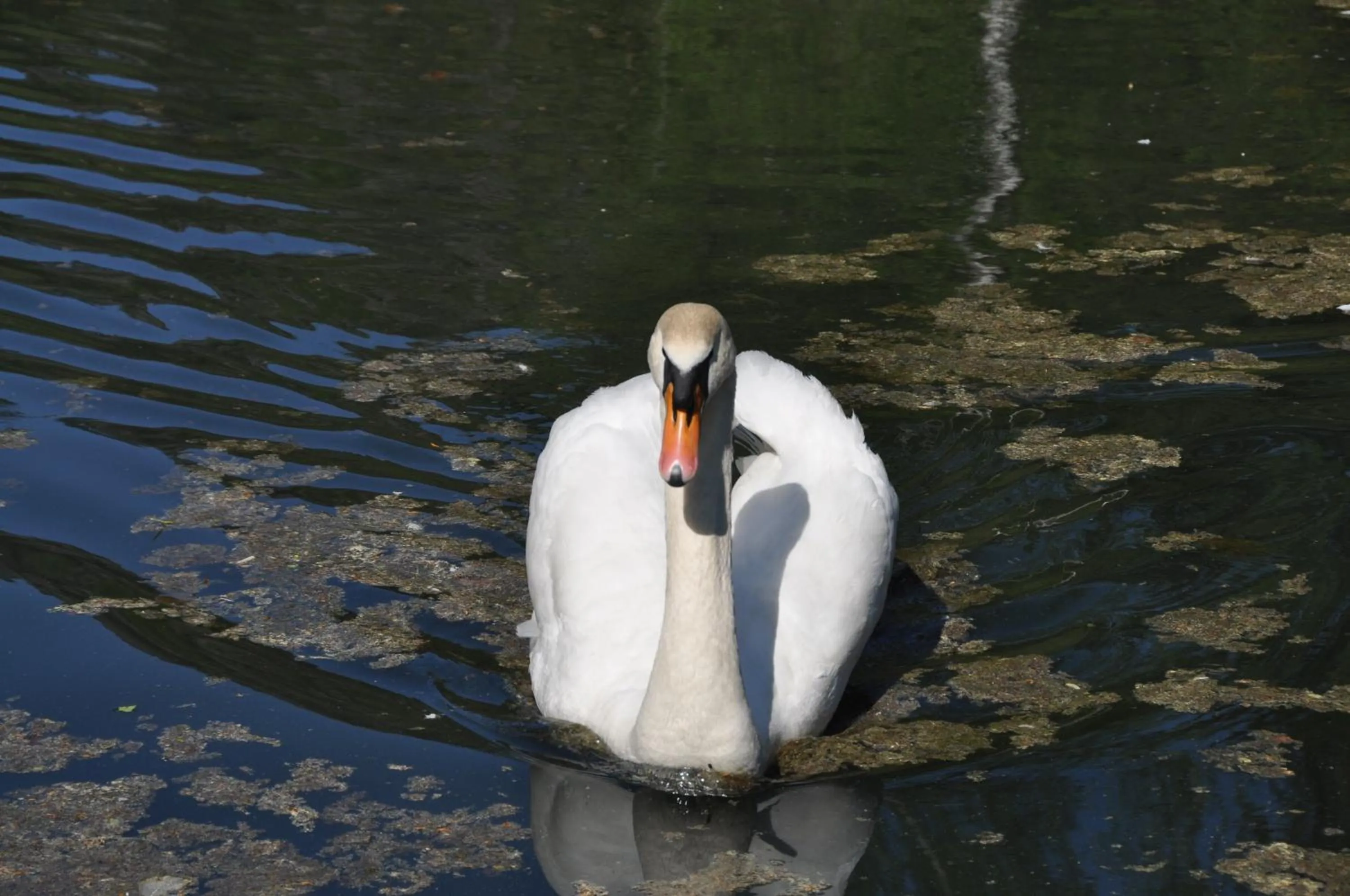 View (from property/room) in Hotel Gondelfahrt
