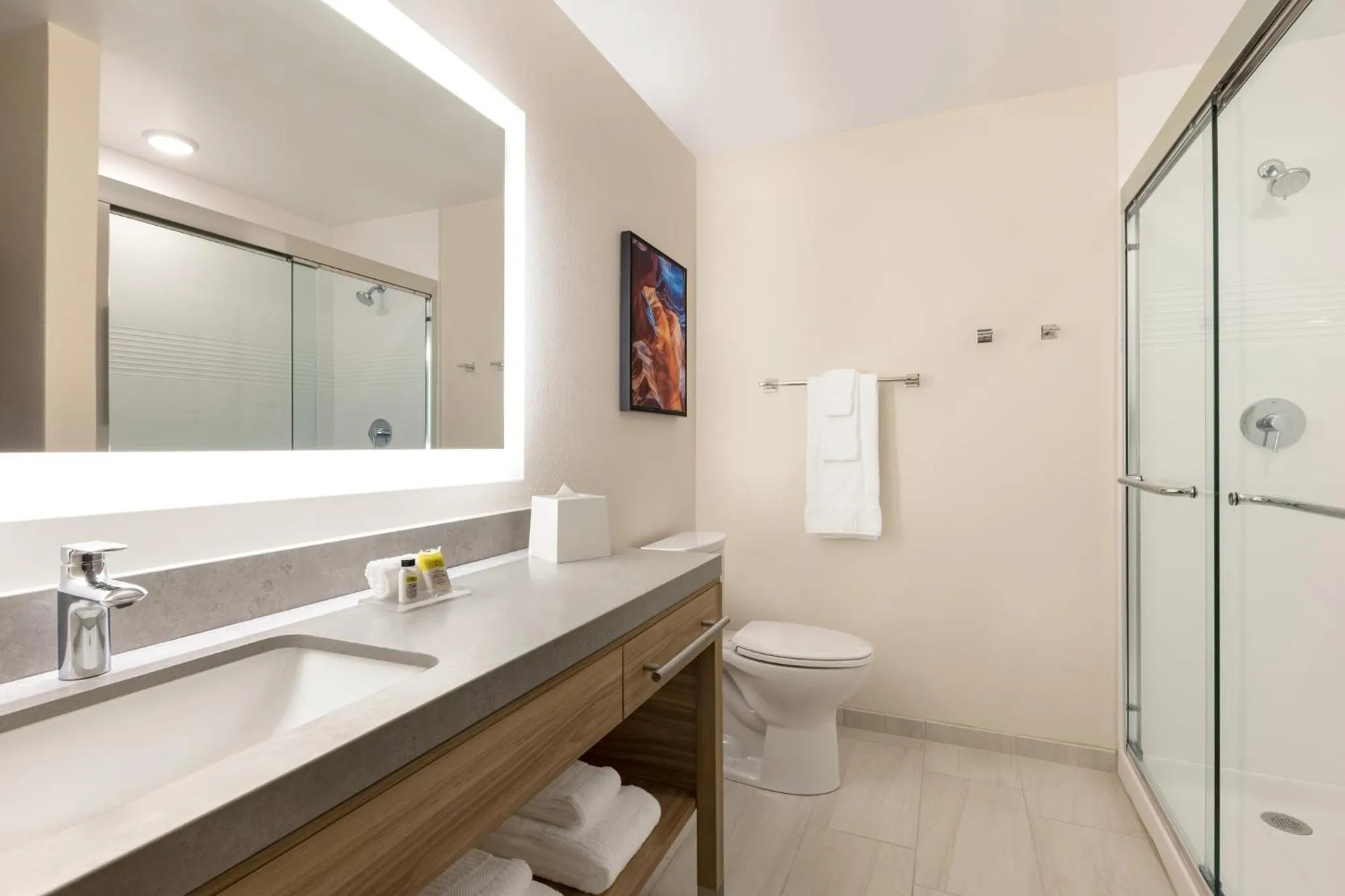 Bathroom in Candlewood Suites Navasota by IHG