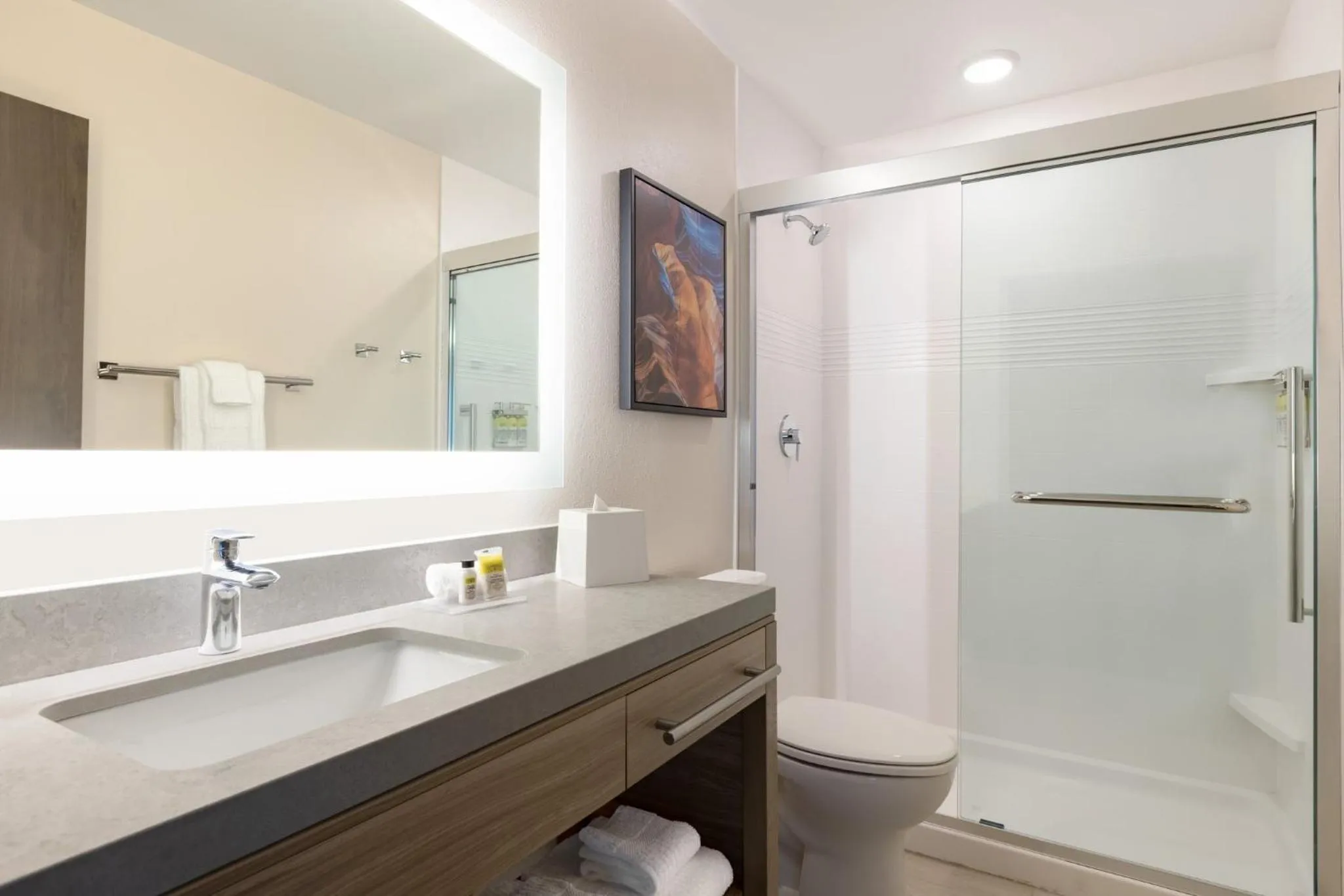 Bathroom in Candlewood Suites Navasota by IHG