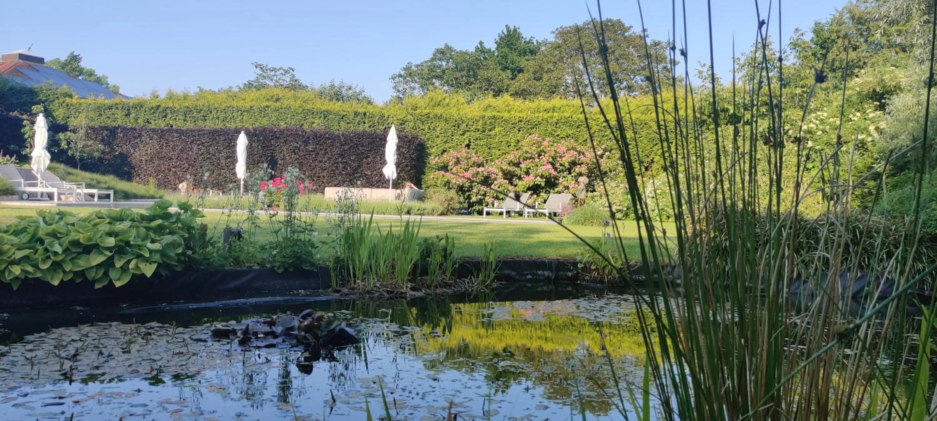 Garden view in B&B 7T