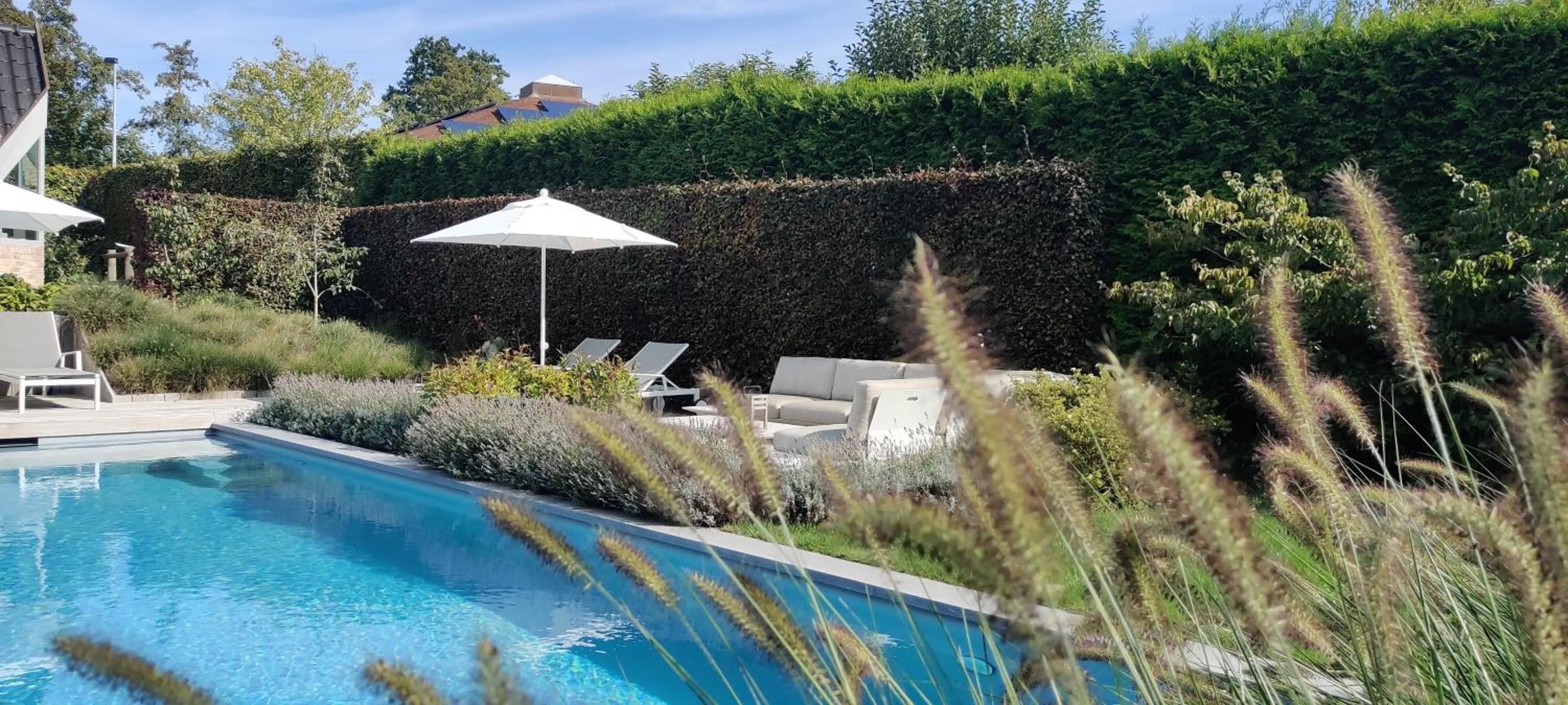 Swimming pool in B&B 7T