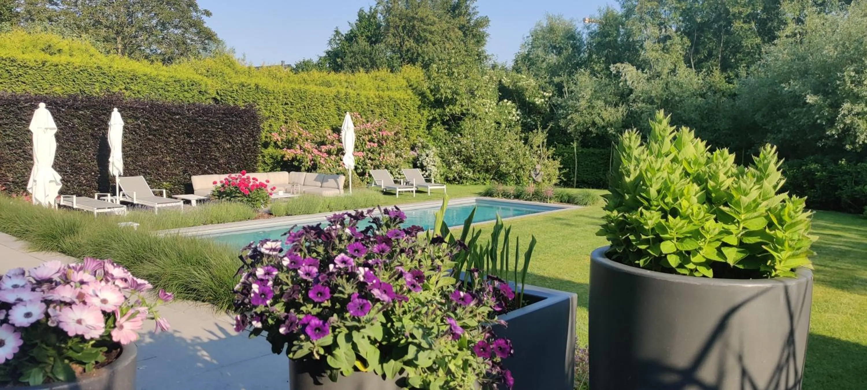 Swimming pool in B&B 7T