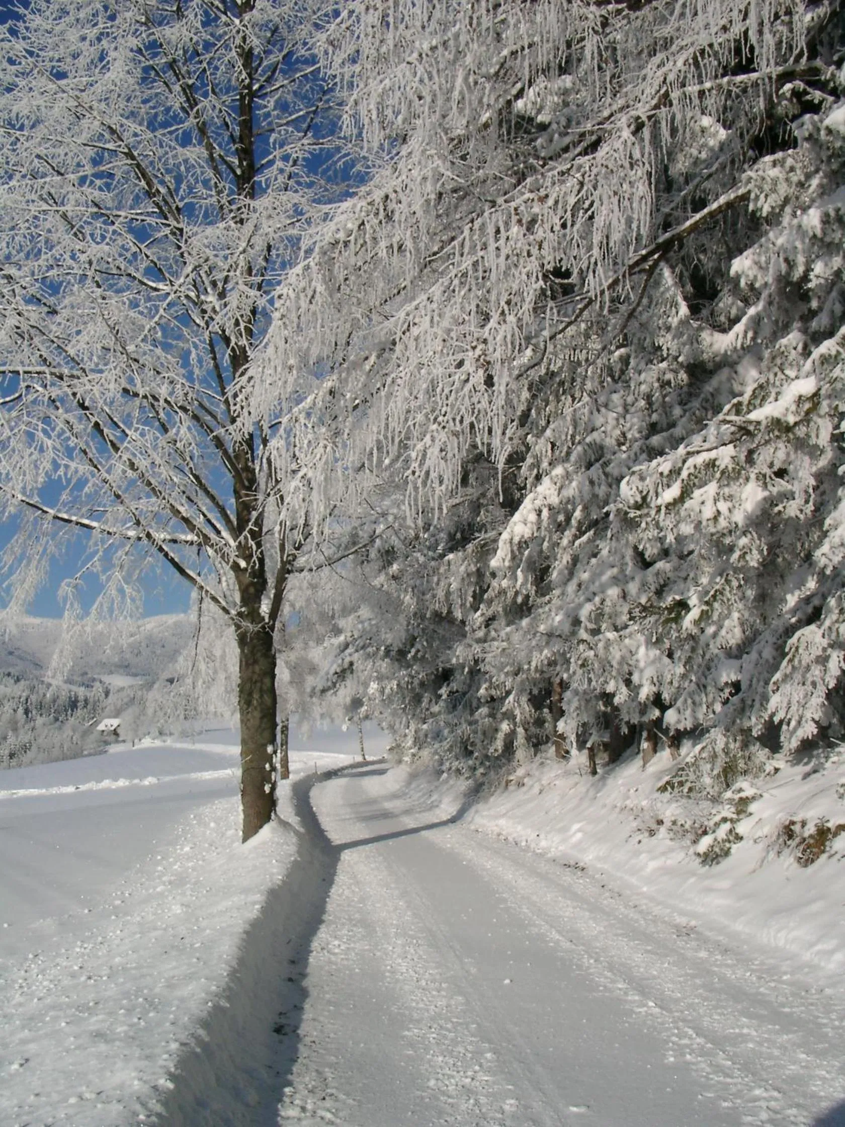 Natural landscape in LiebesNesterl Bergwirt - Boutique Hotel
