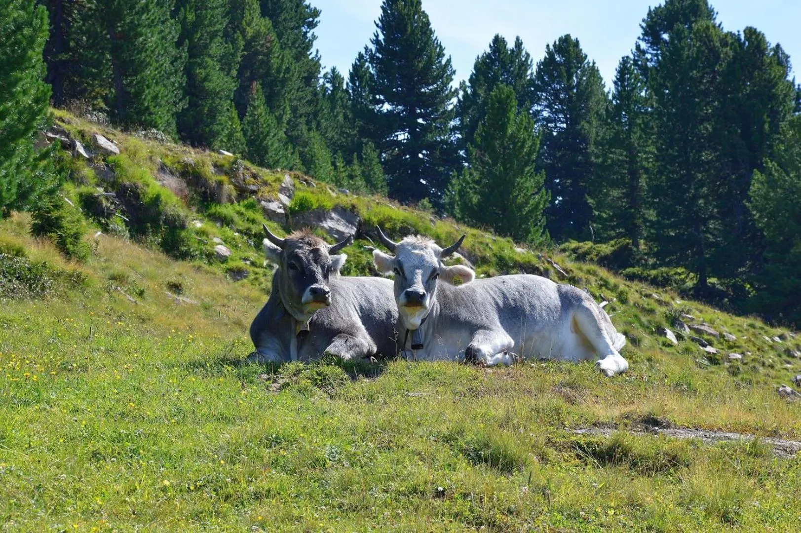 Summer in LiebesNesterl Bergwirt - Boutique Hotel
