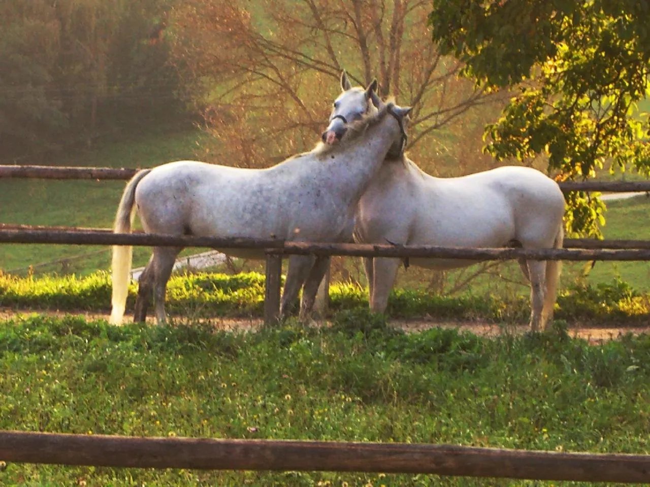 Nearby landmark in LiebesNesterl Bergwirt - Boutique Hotel